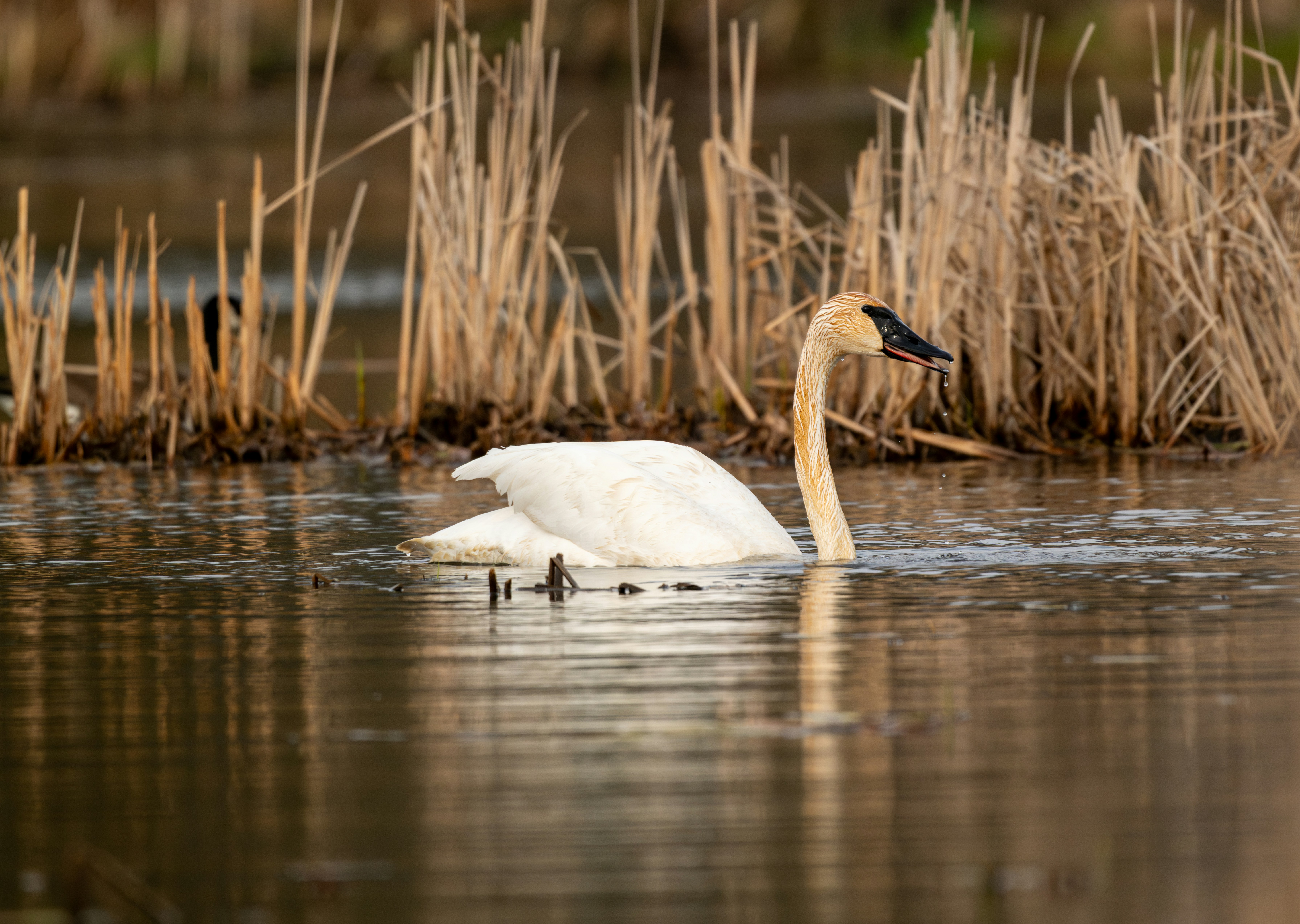 Photo by grantline2000