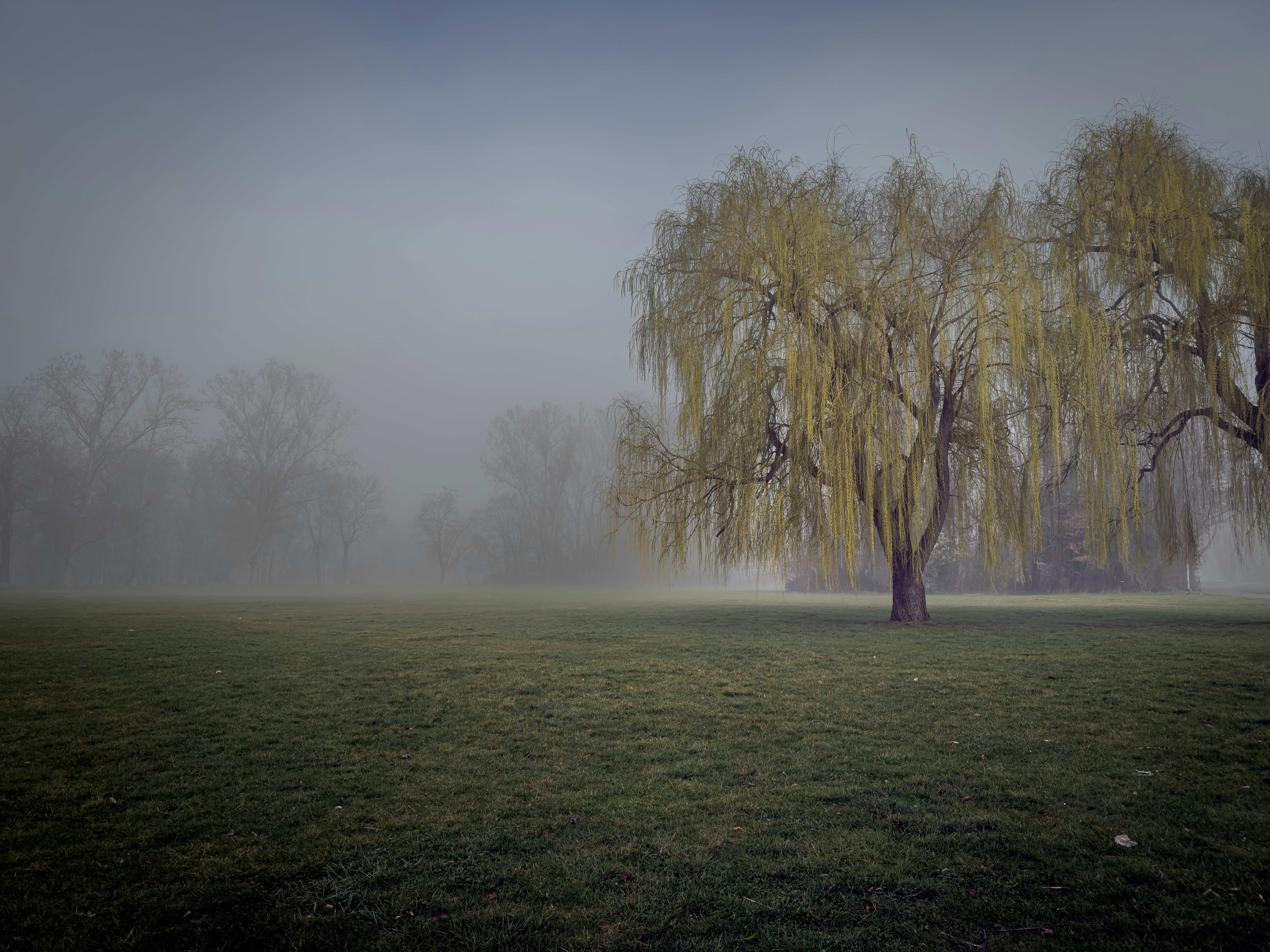 Photo by bildlich_art