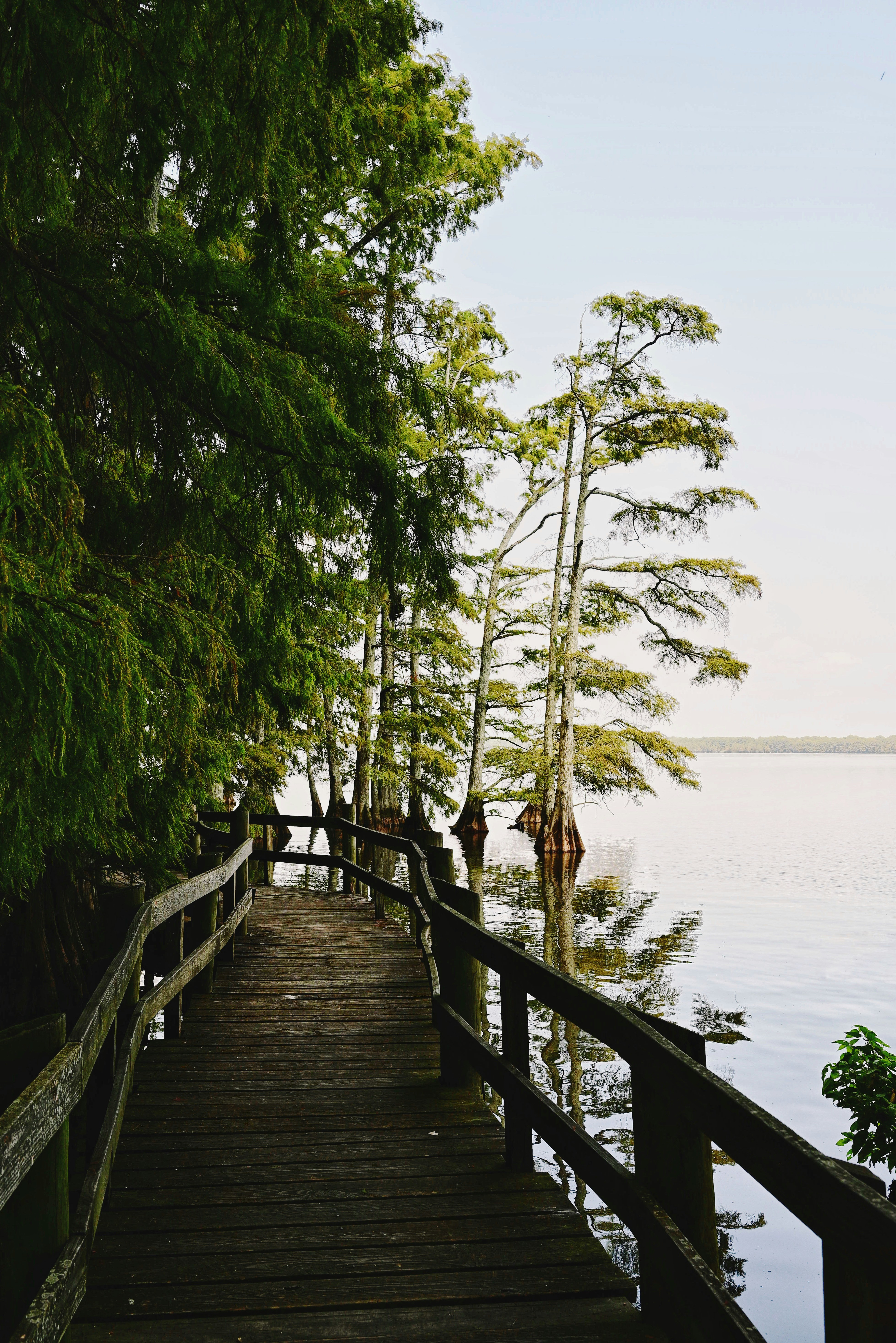 Photo by theartificer