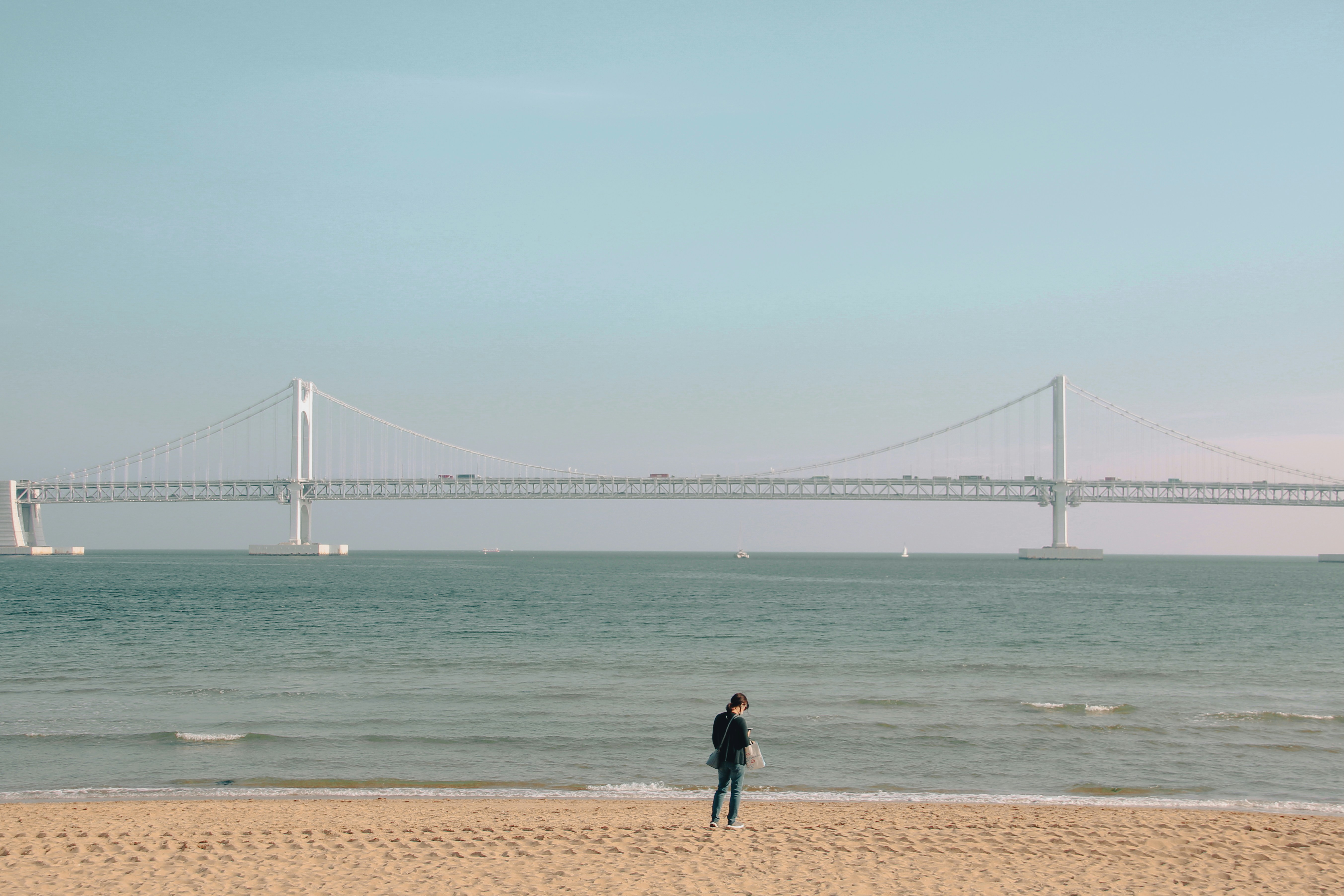 Person standing on beach with bridge in background
