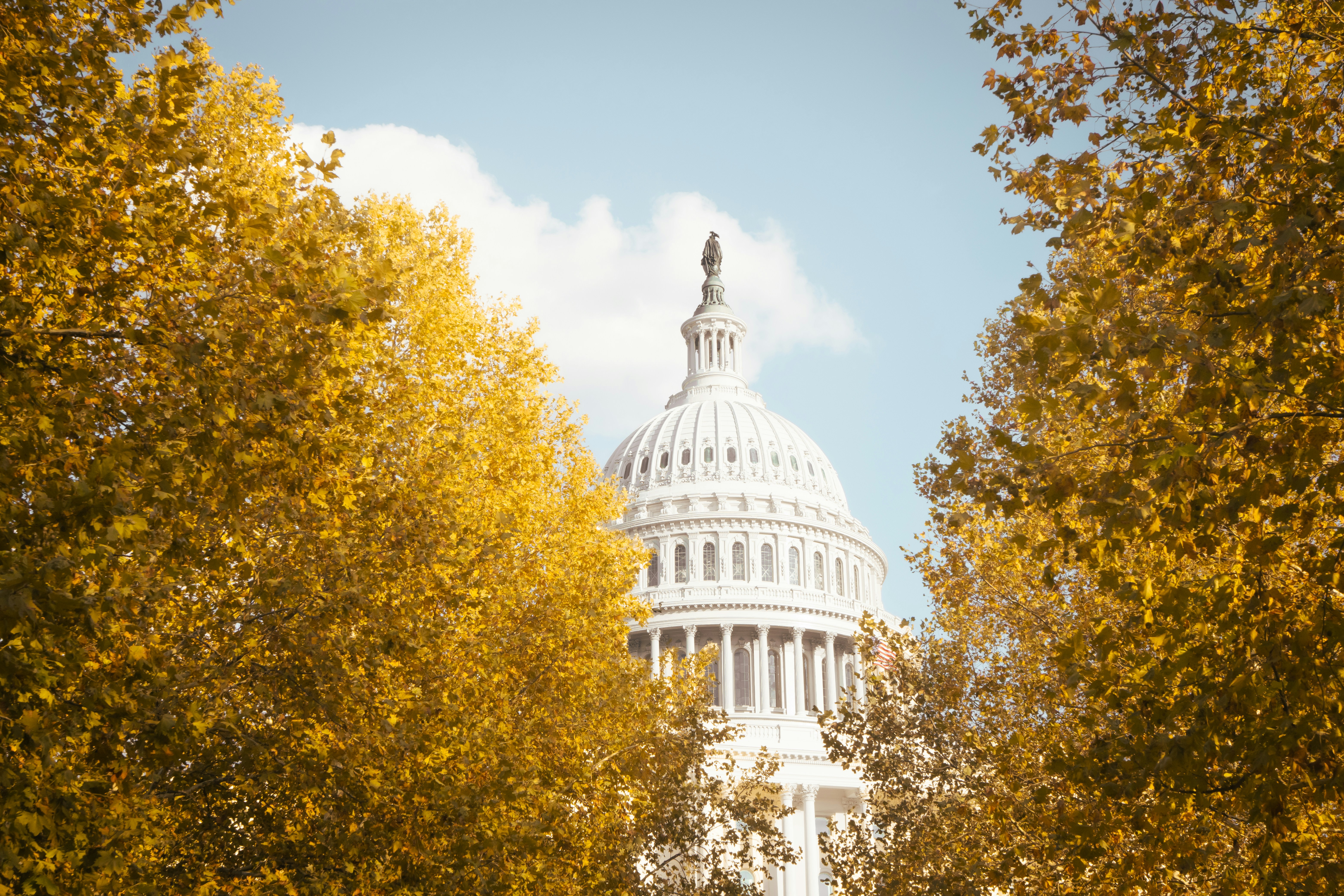 Photo by damiankravchuk