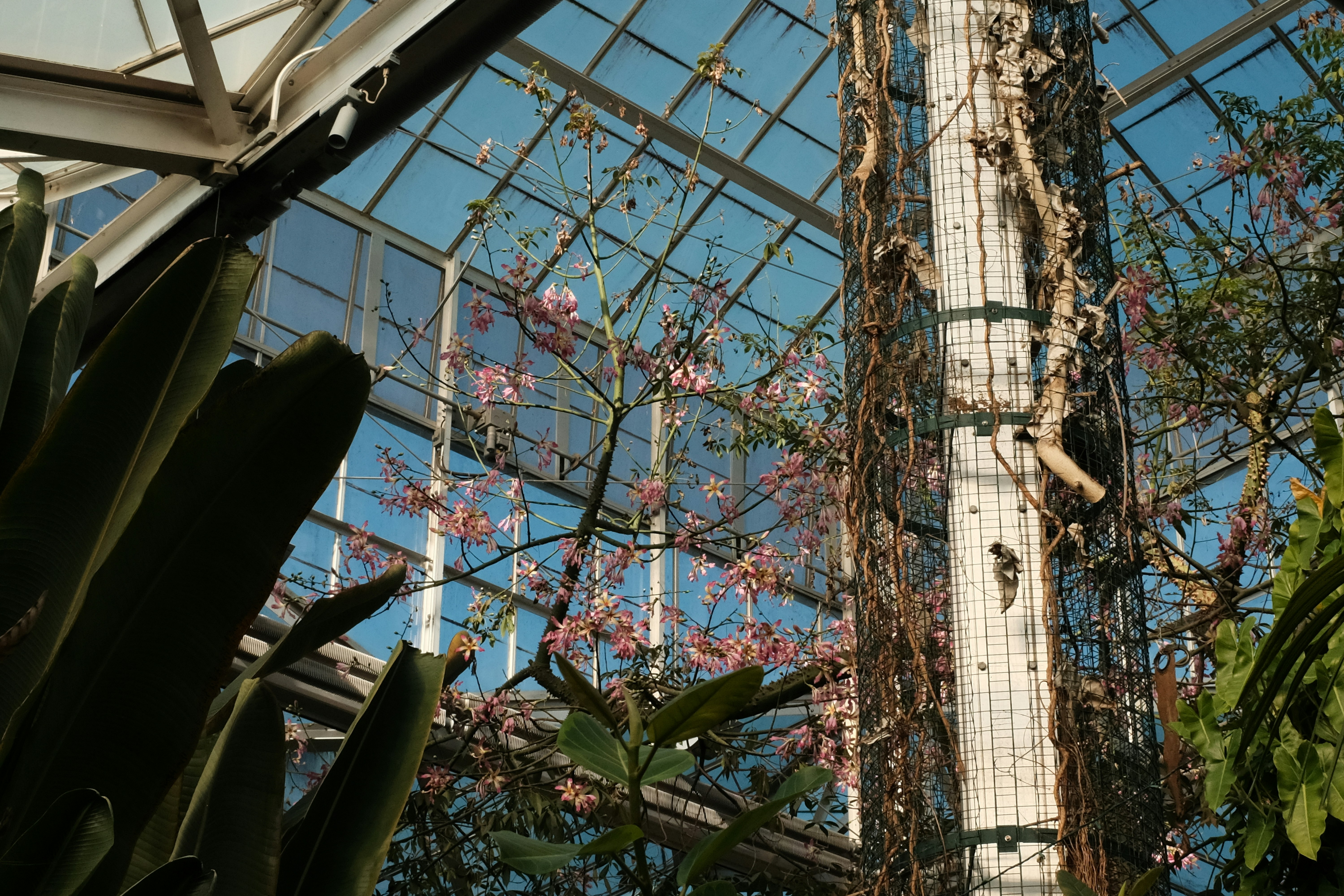 Photo by brookebalentine