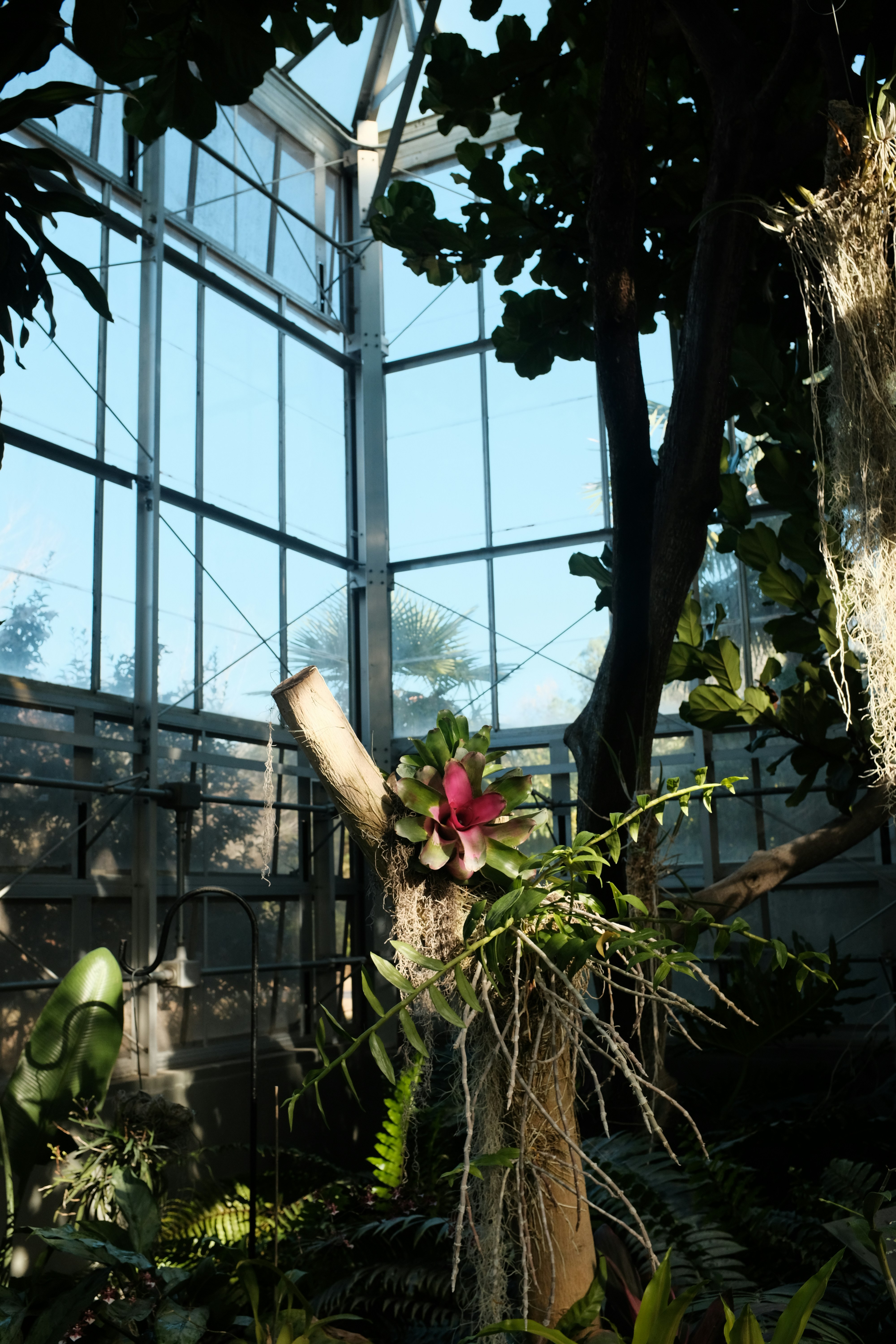 Photo by brookebalentine