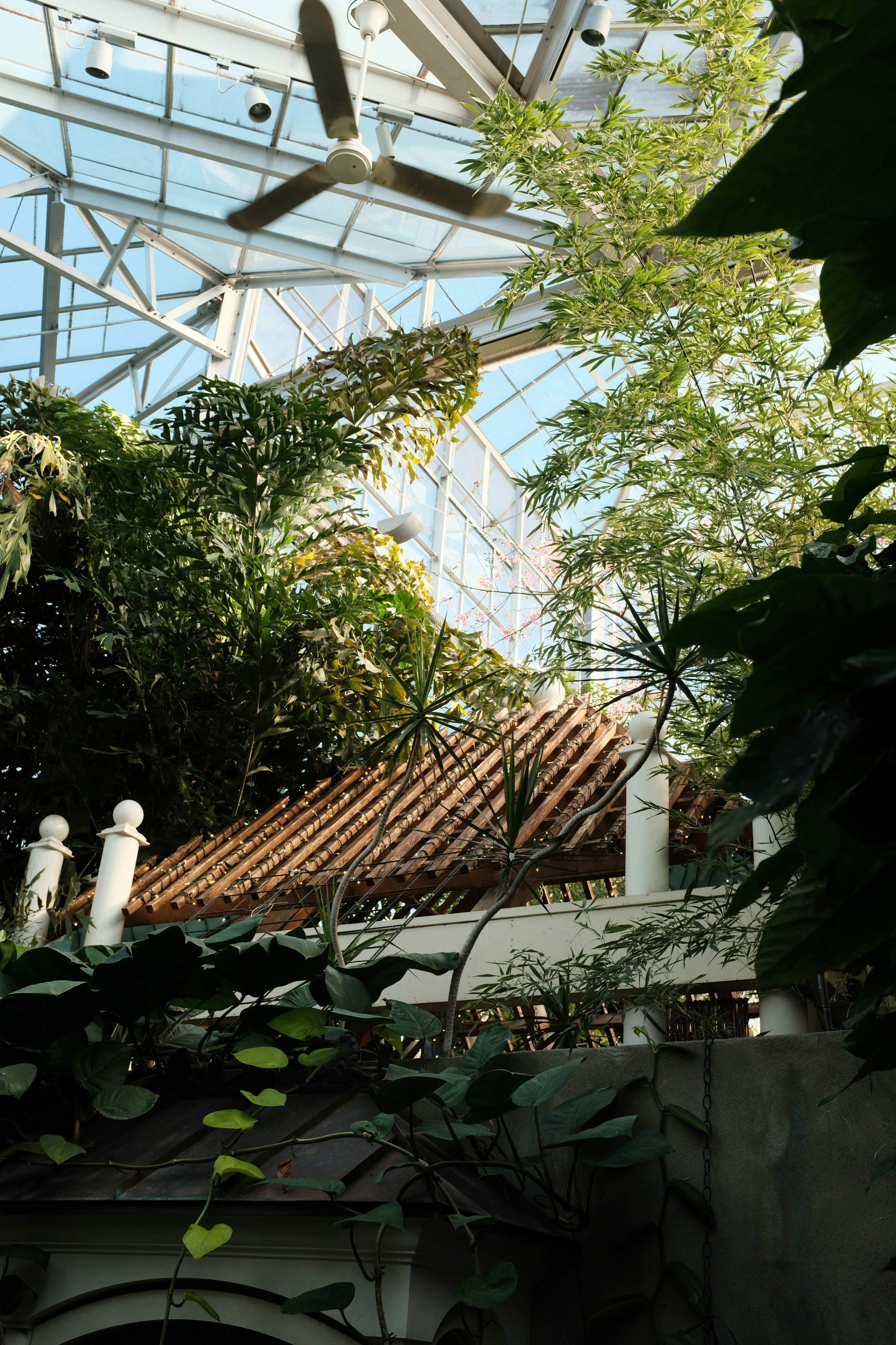 Photo by brookebalentine