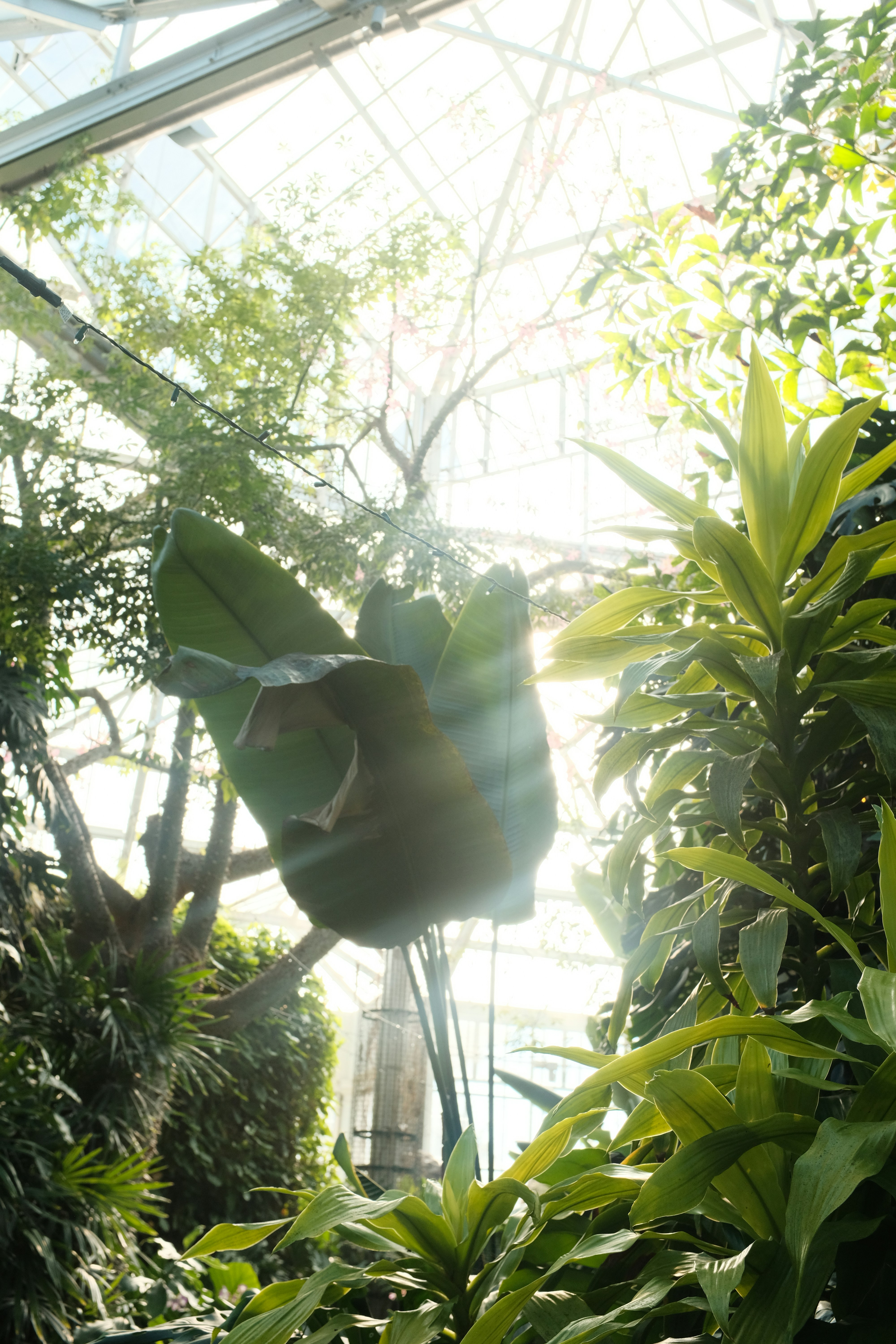 Photo by brookebalentine