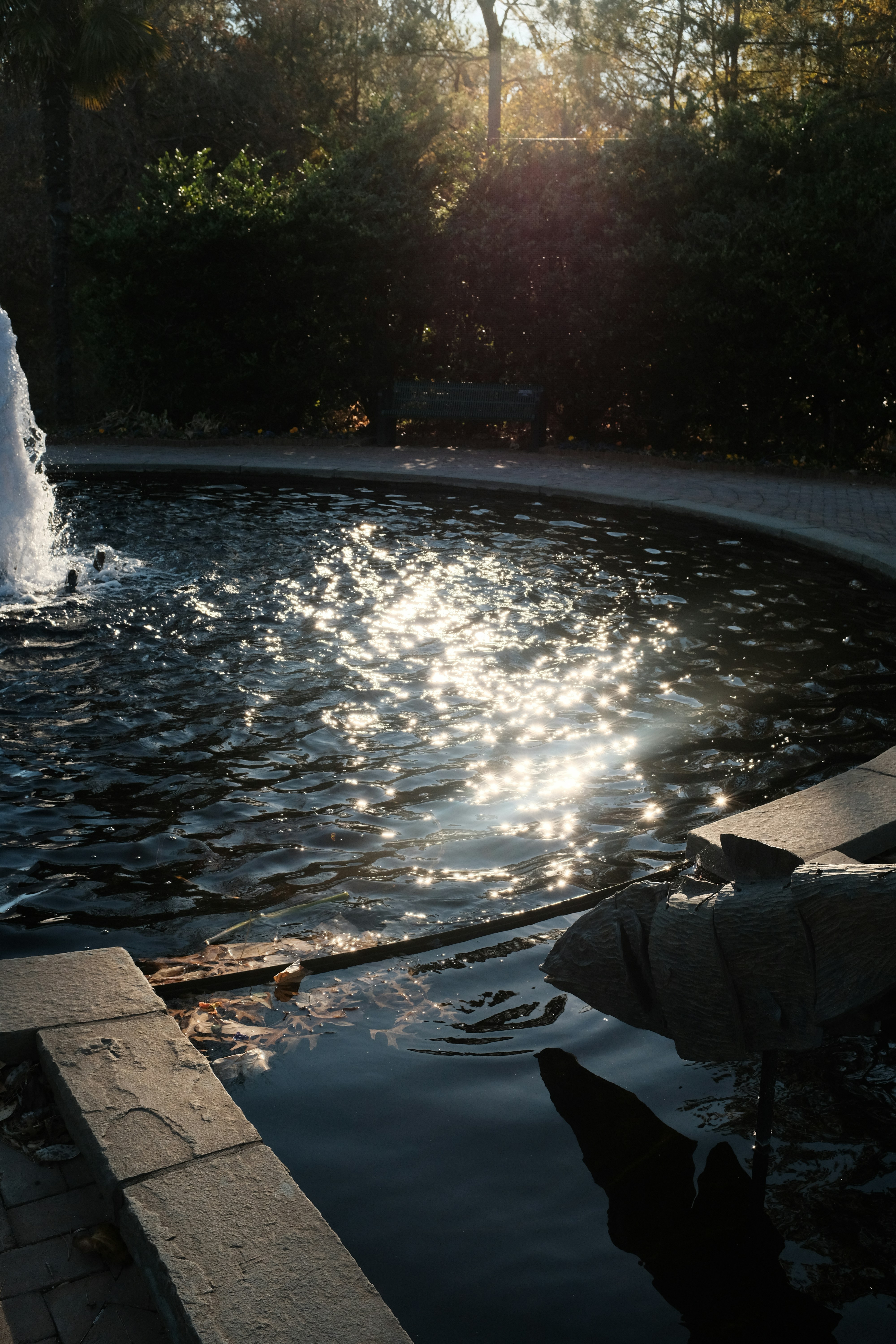 Photo by brookebalentine