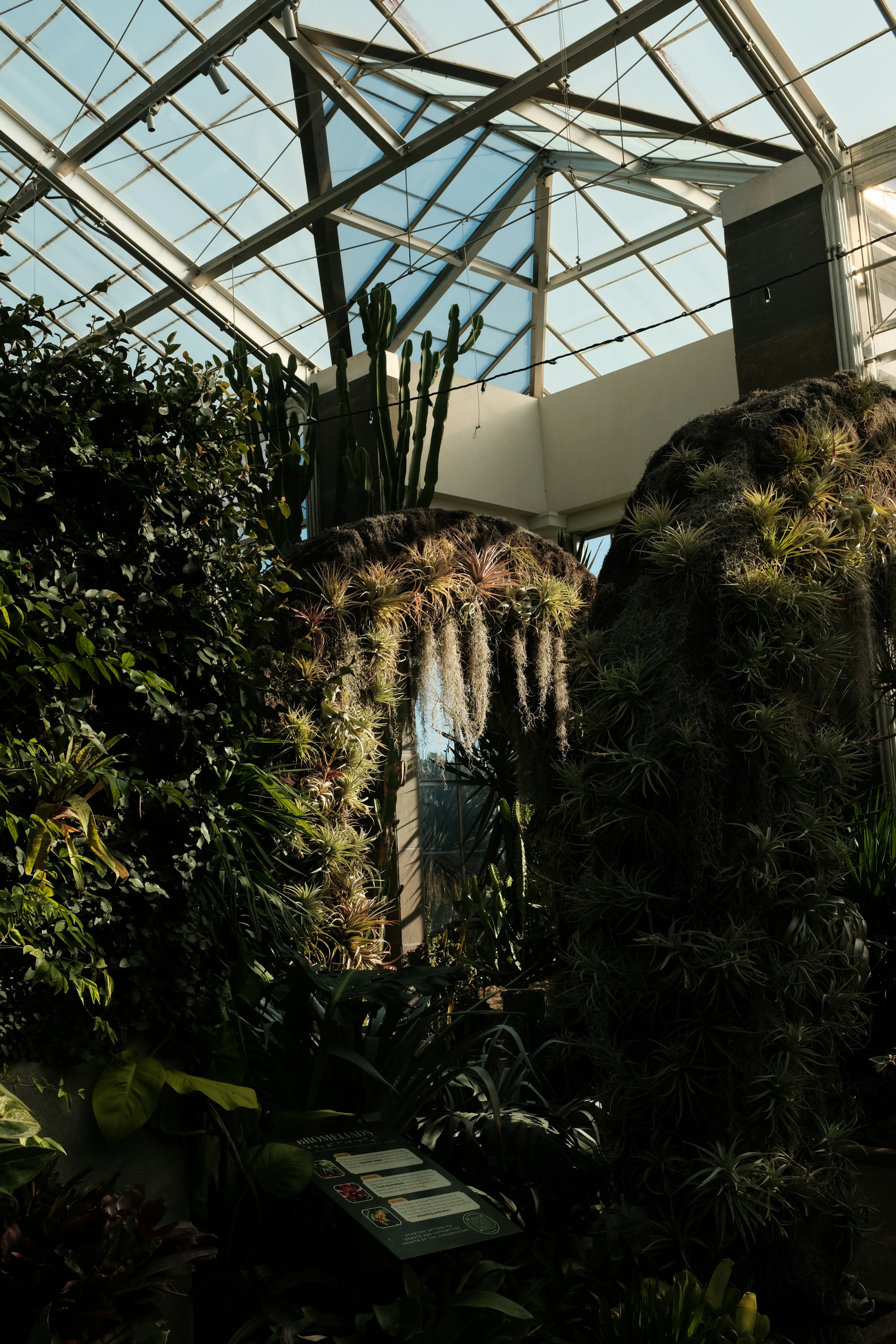 Photo by brookebalentine