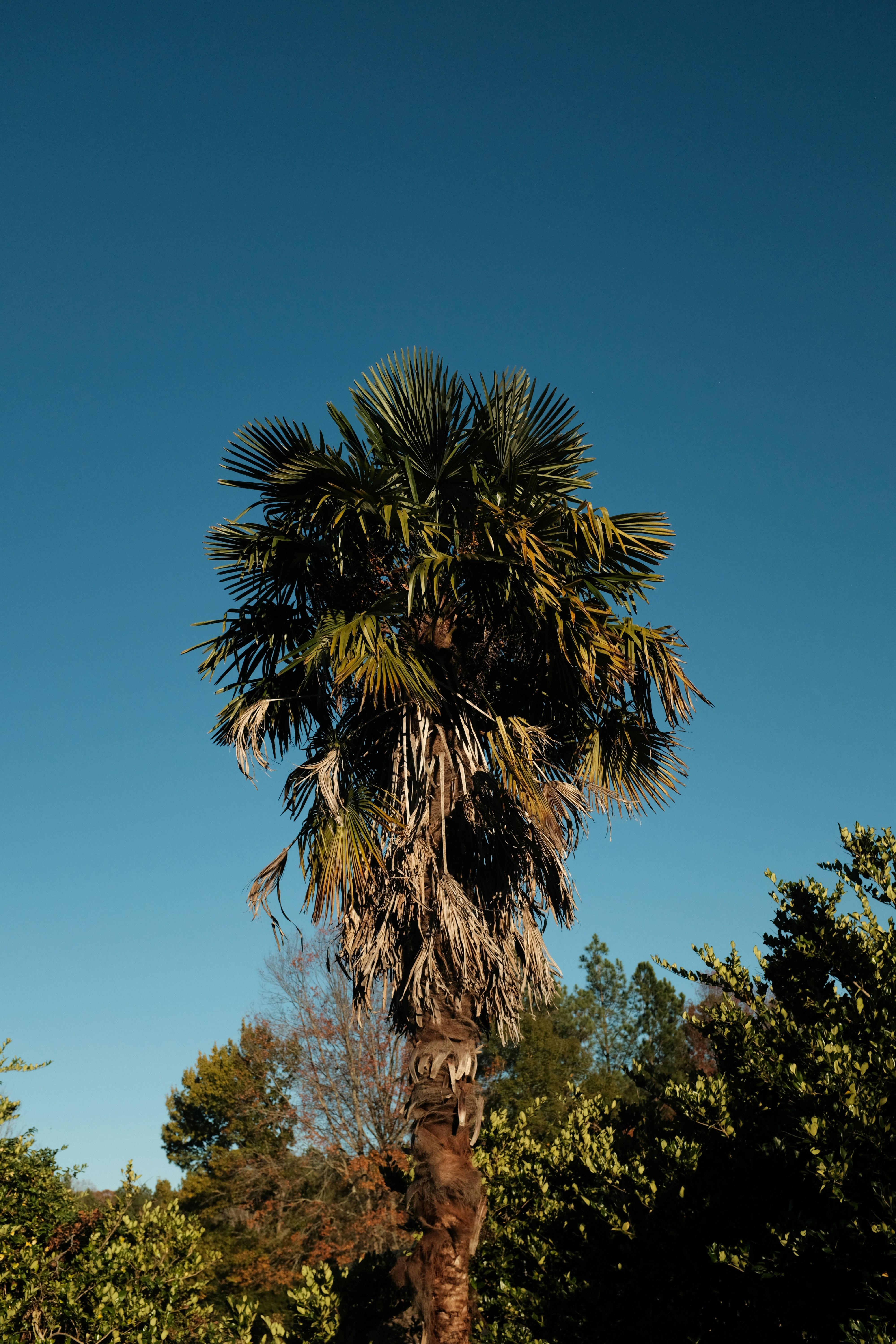 Photo by brookebalentine