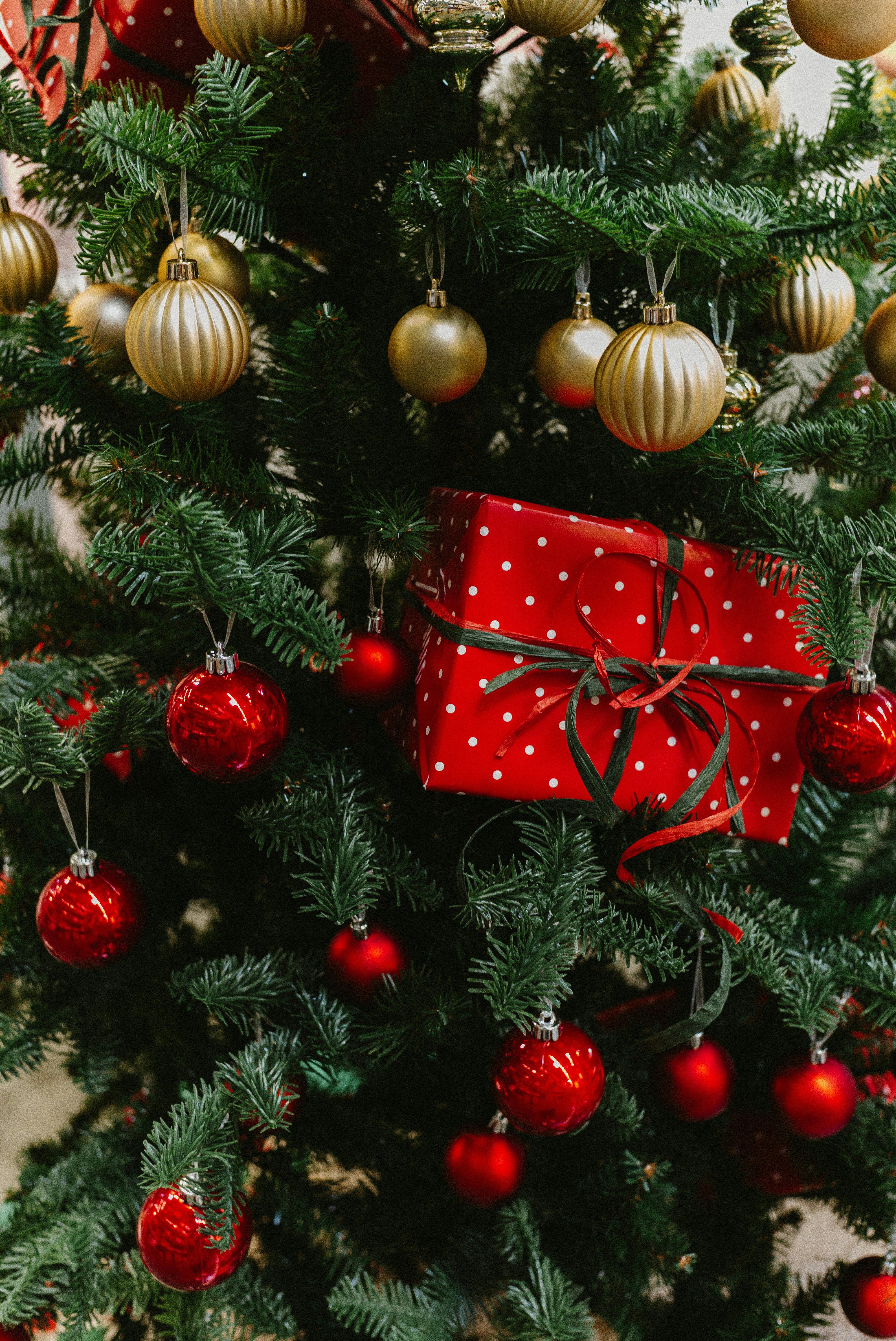 A decorated christmas tree with red and gold ornaments.