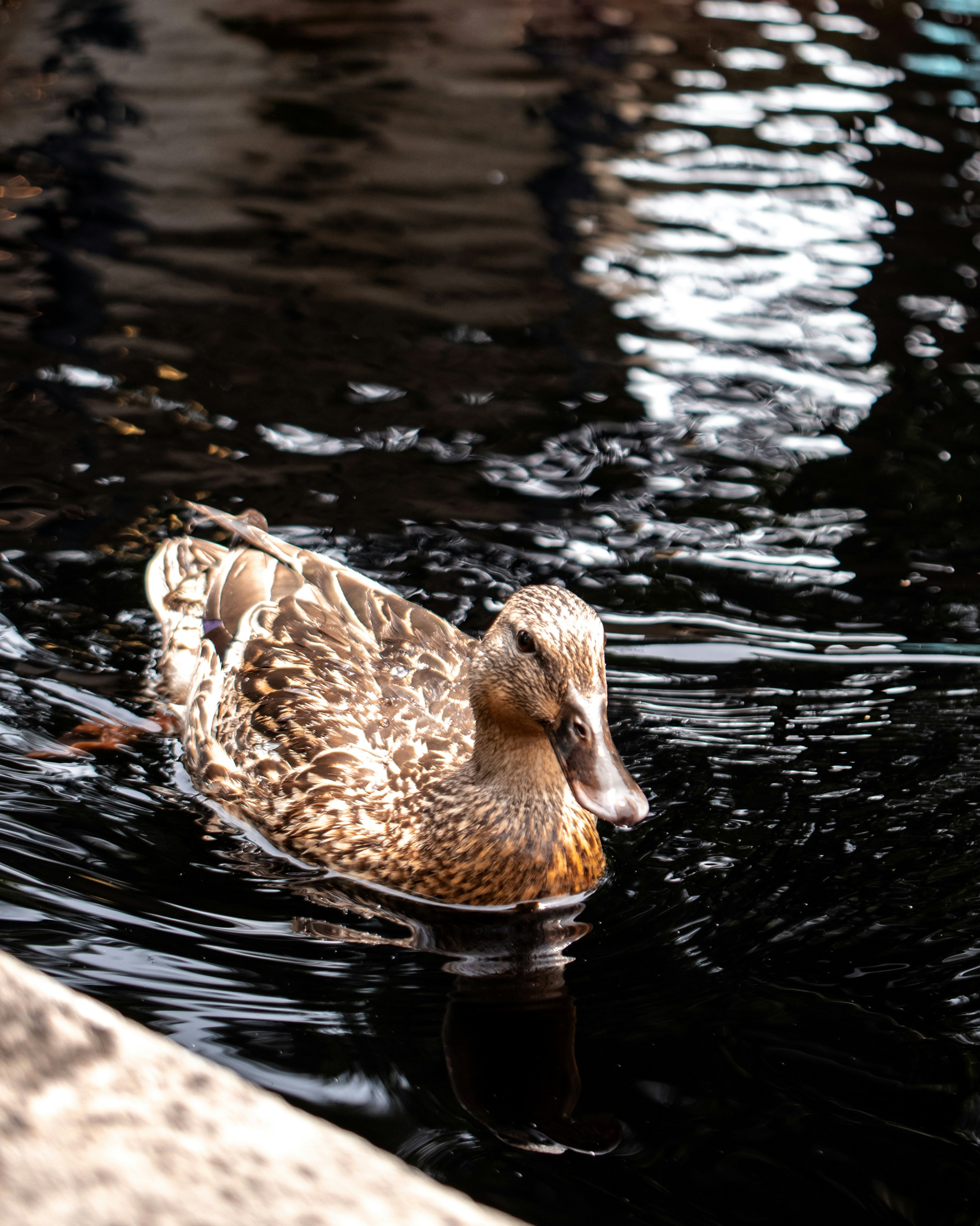 Photo by thelegenderry