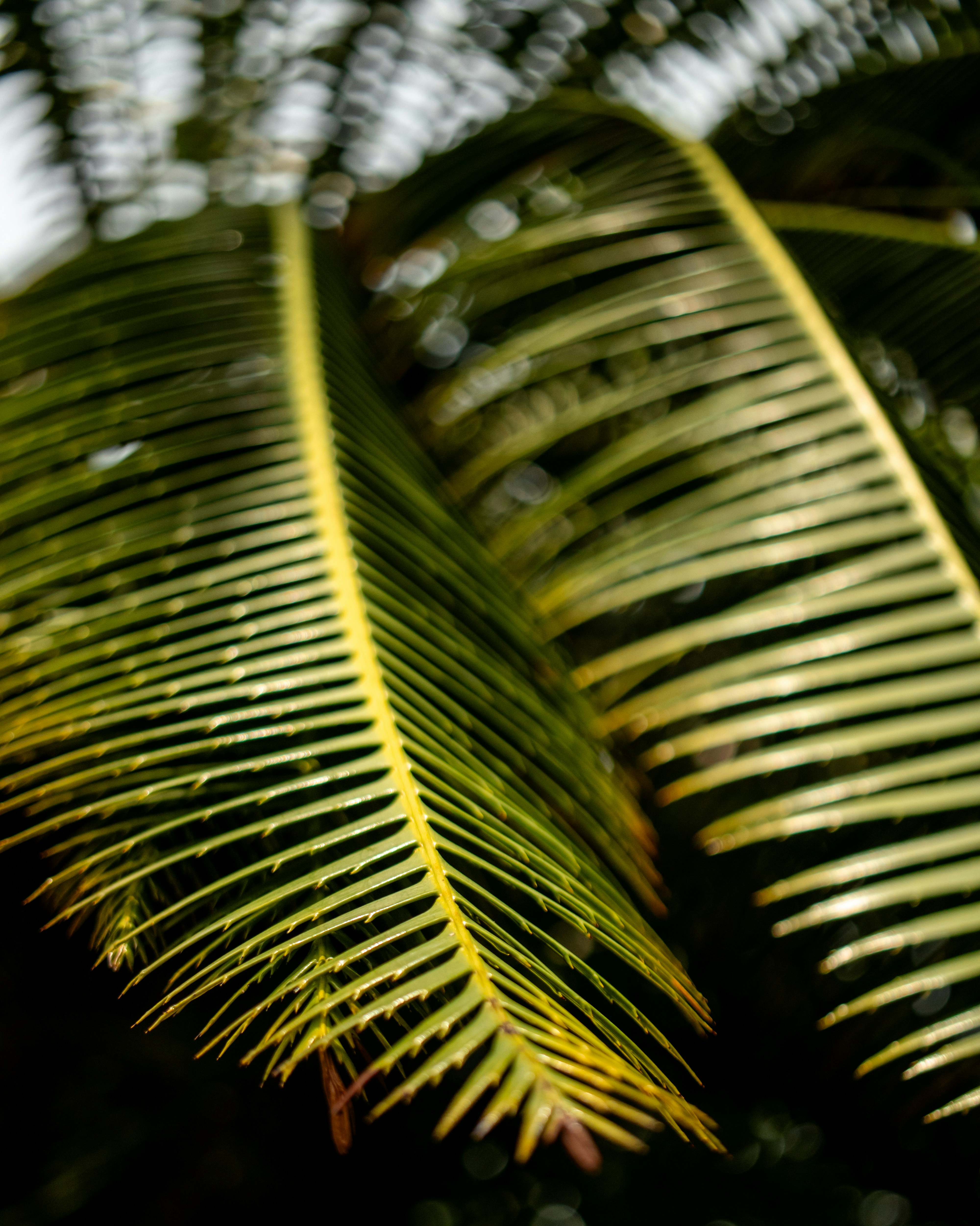 Photo by thelegenderry