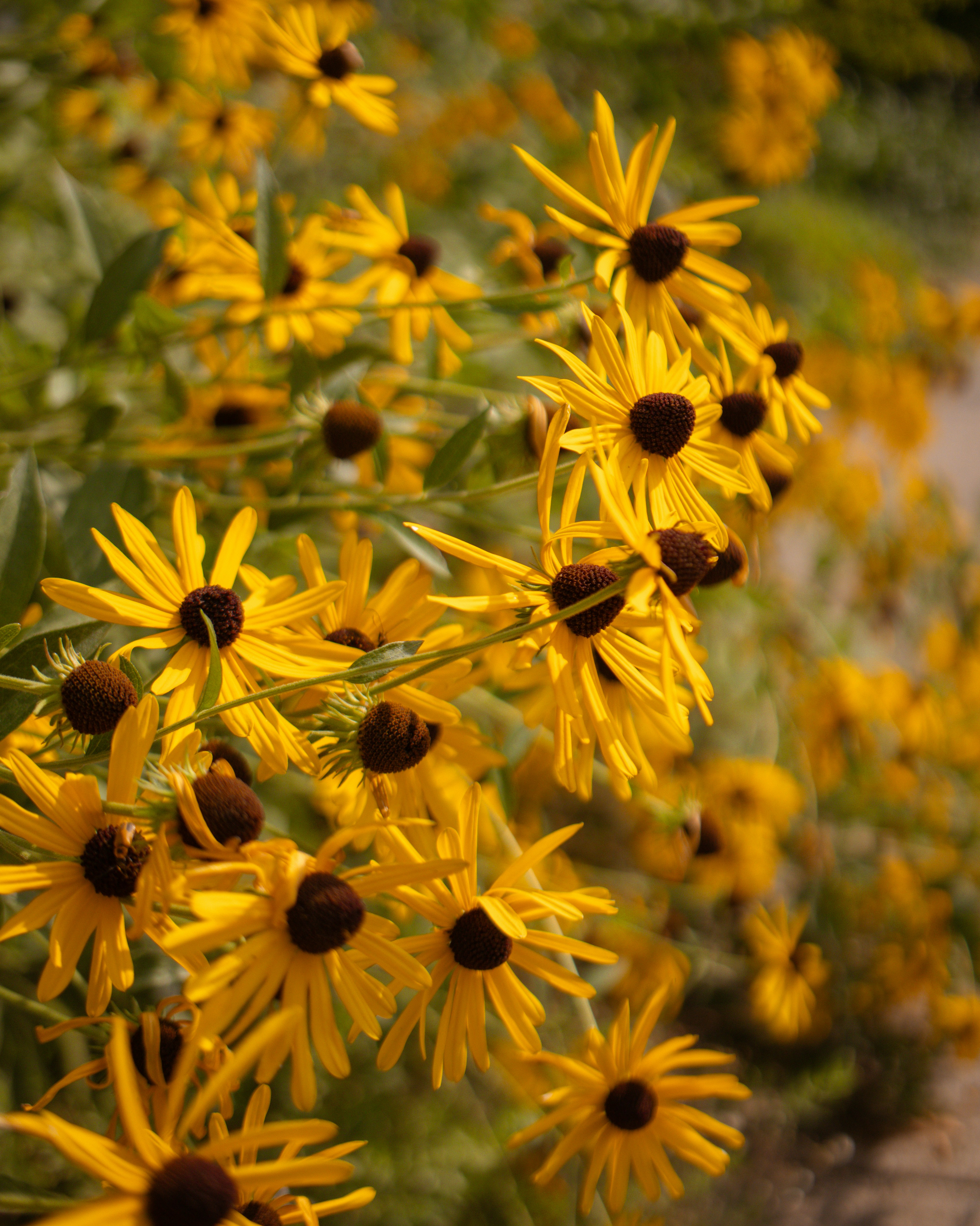 Photo by thelegenderry