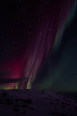 Dining with the Northern Lights