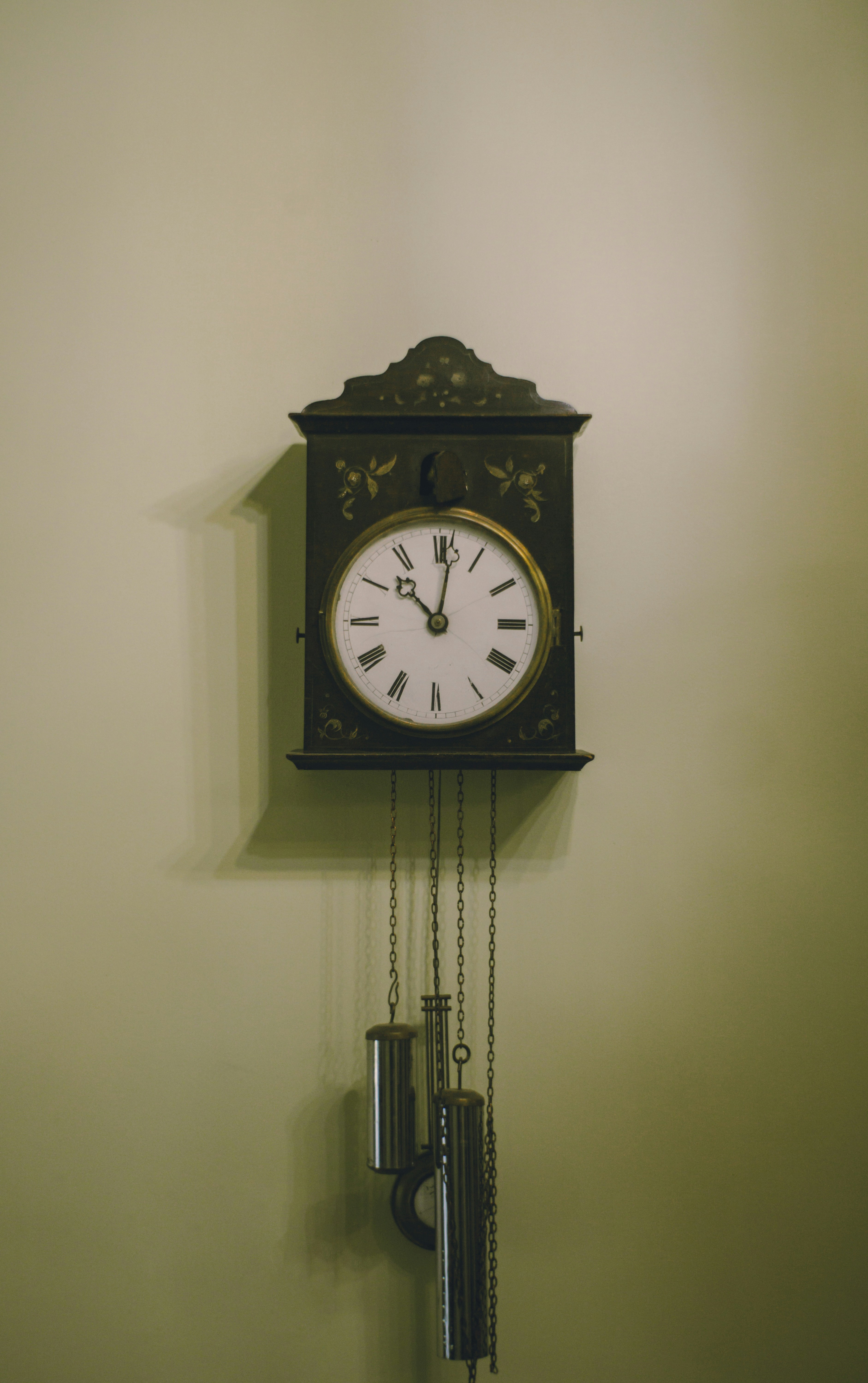 Photo by mdrezajalali