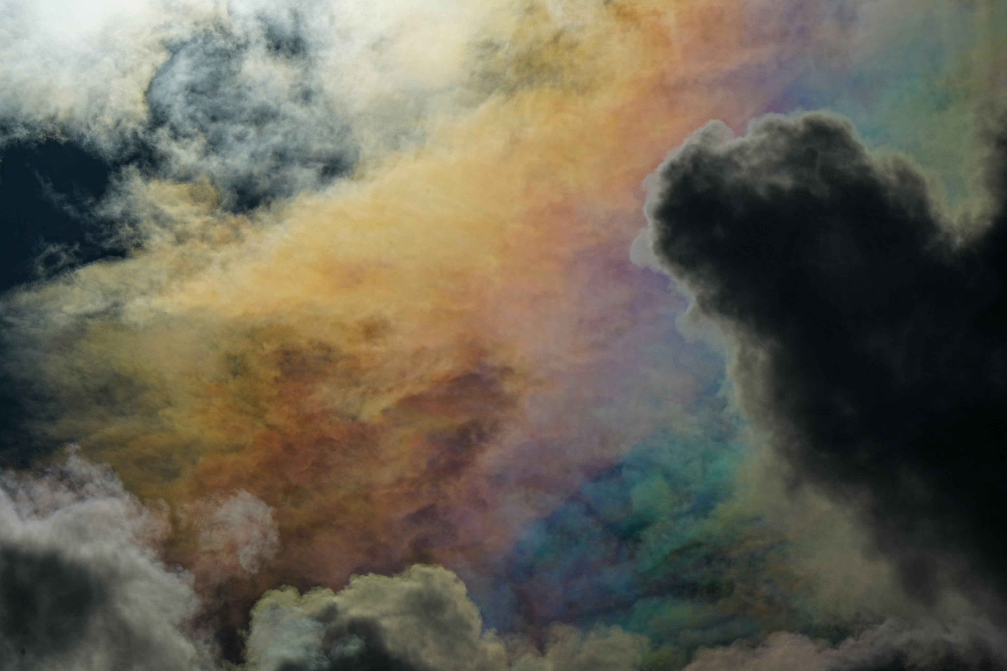 Photo by bestlifanna