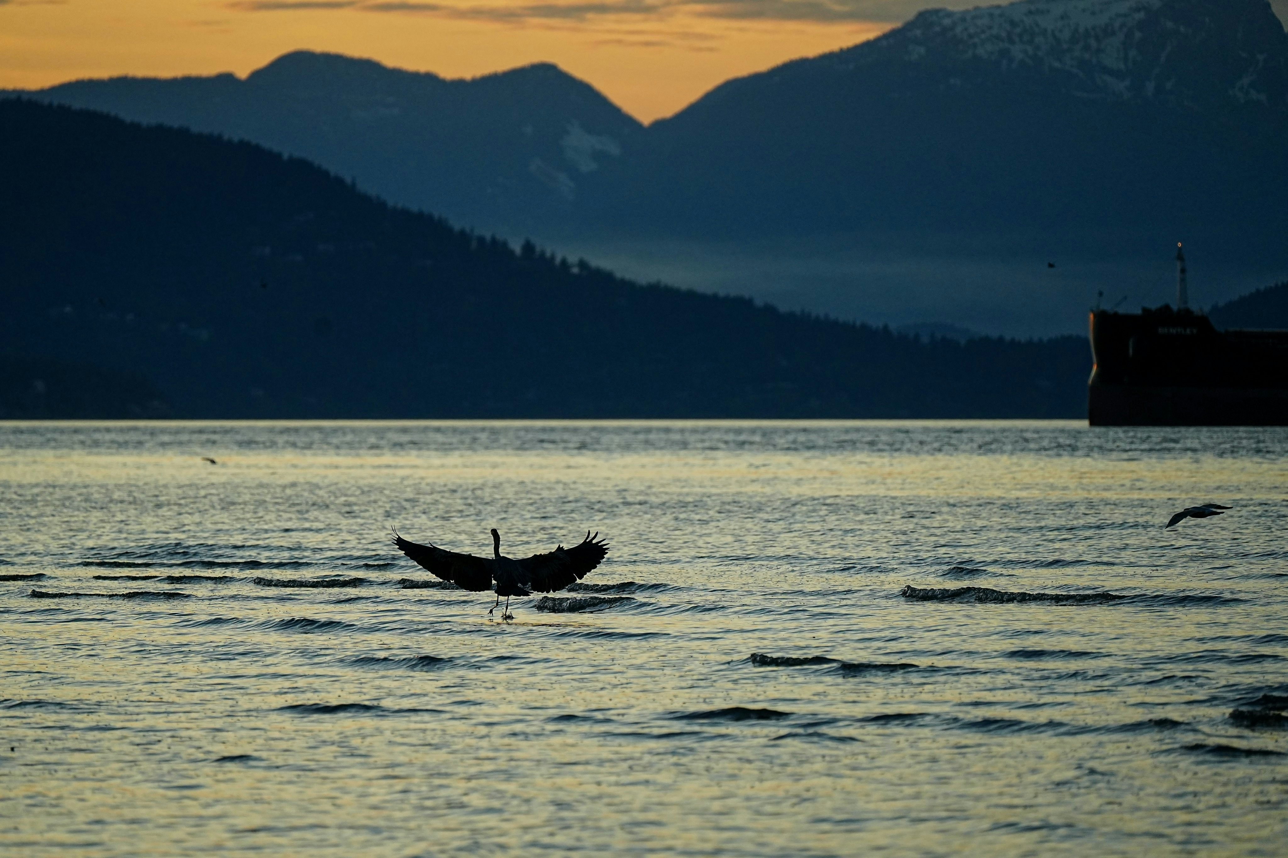 Photo by bestlifanna