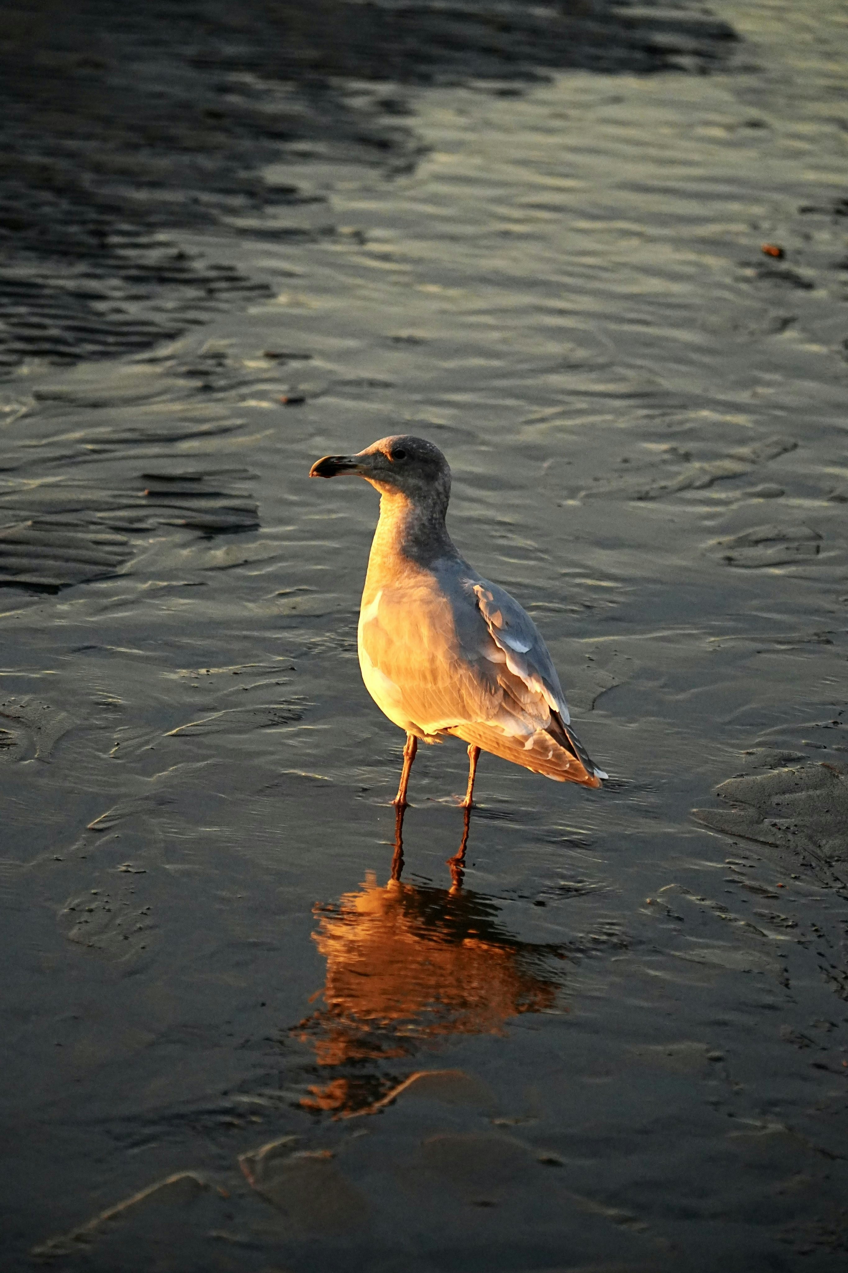 Photo by bestlifanna