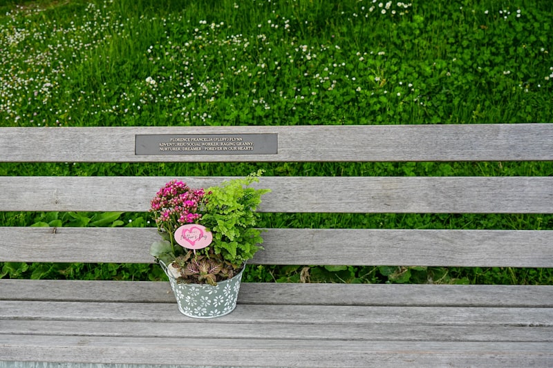Memorial Bench or Plaque