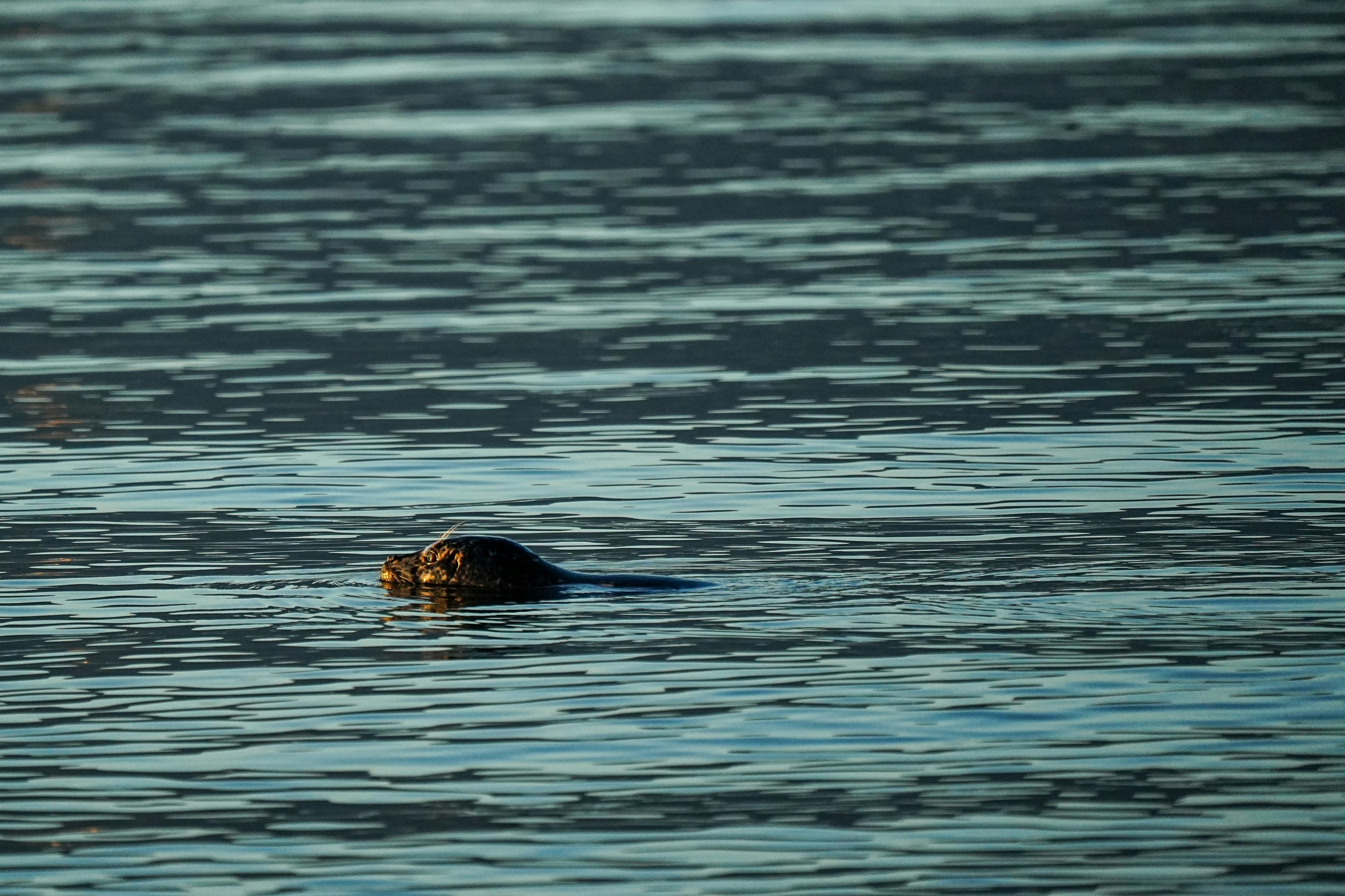 Photo by bestlifanna