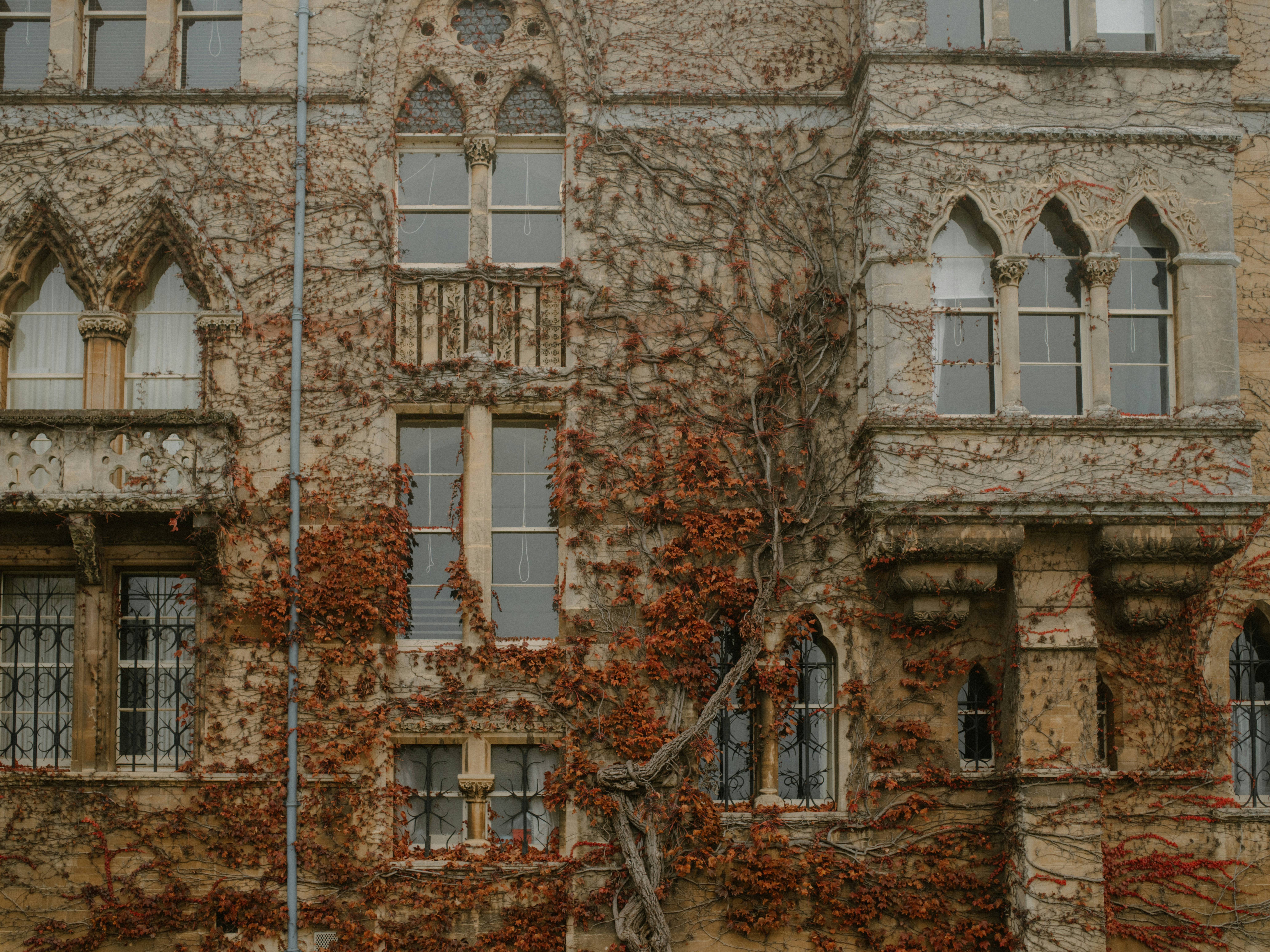 Are You Torn Between EVO ICL And LASIK For Vision Modification? Discover The Crucial Distinctions That Could Form Your Decision