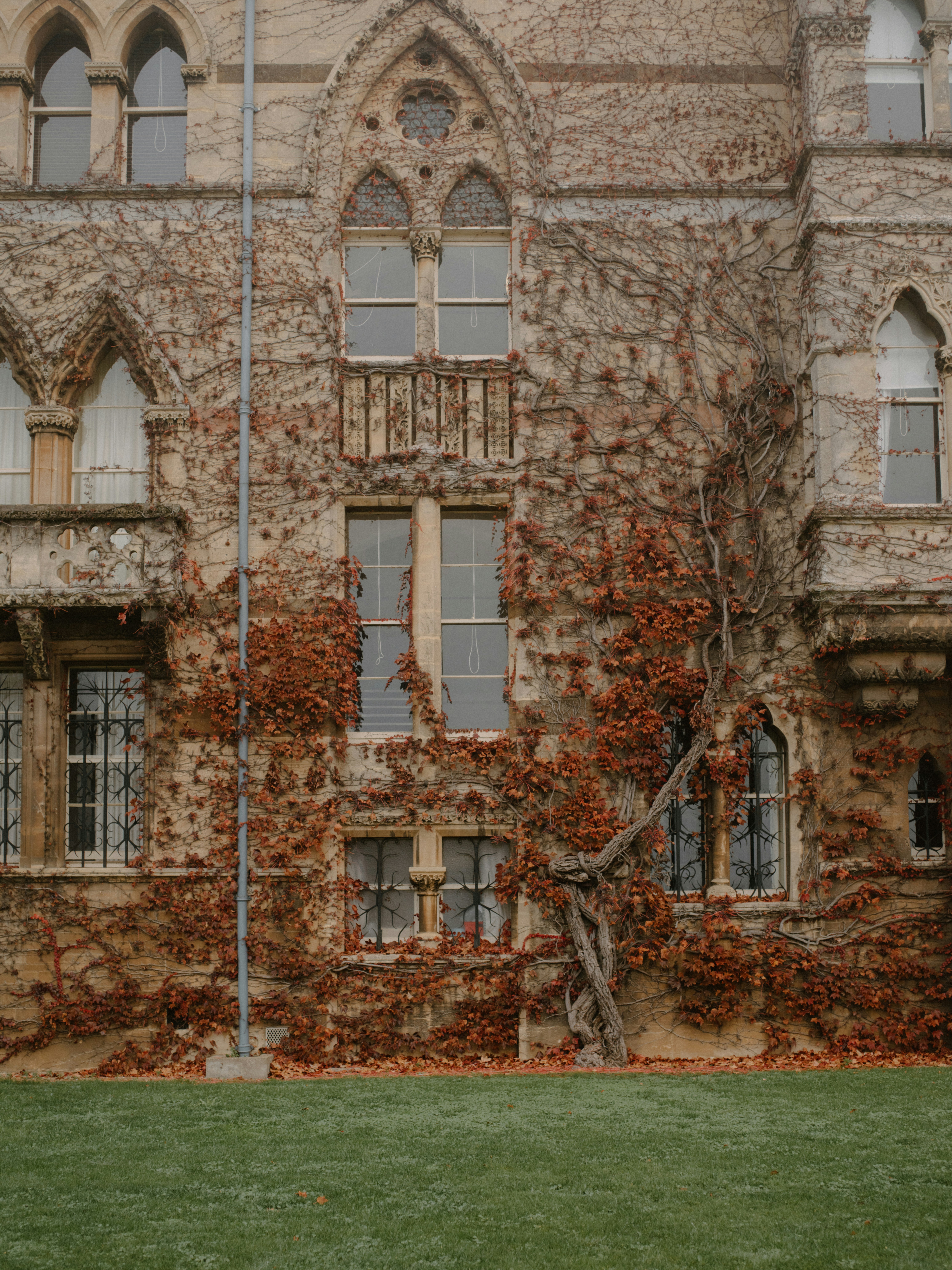 Photo by anniespratt