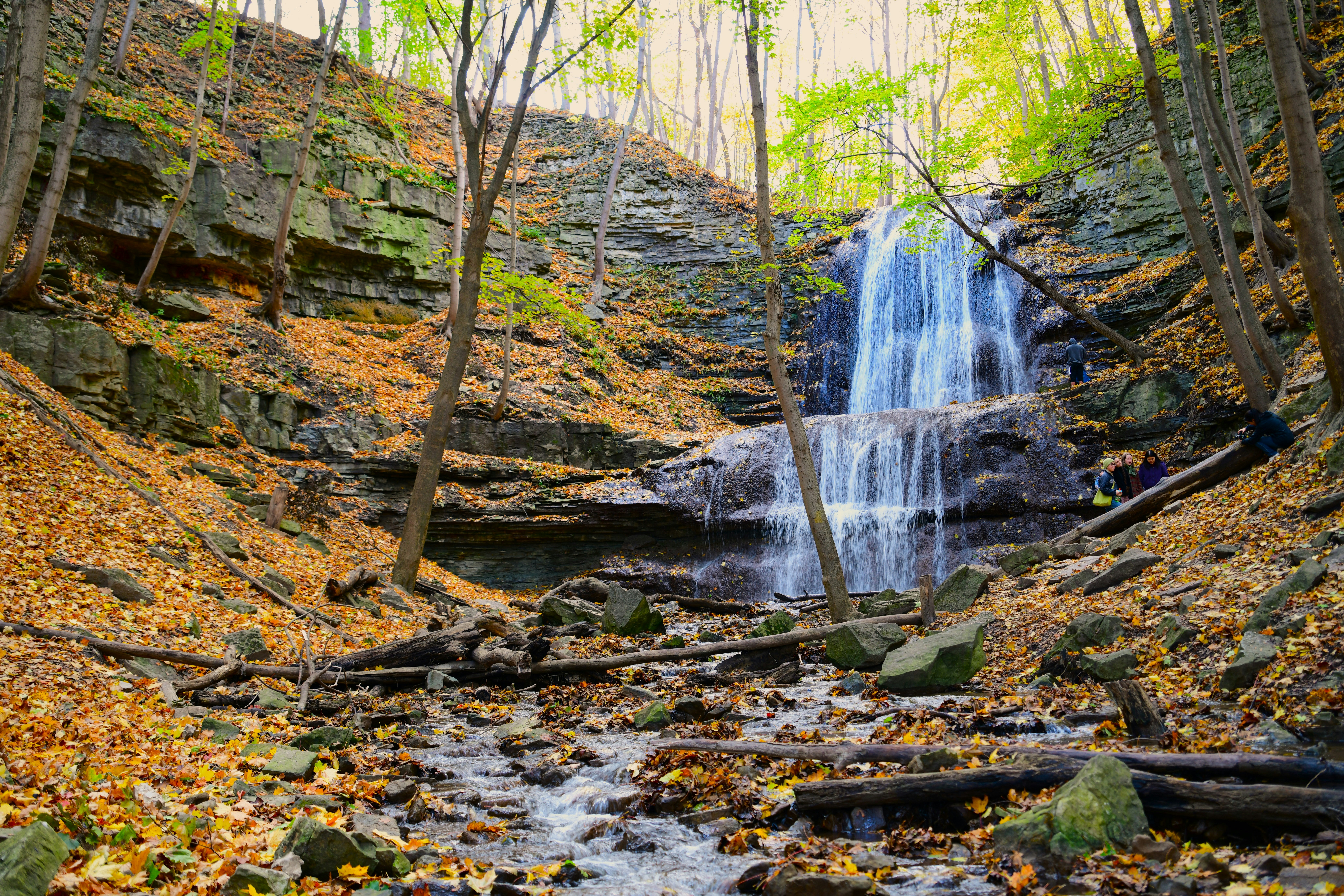 Photo by samuelprevin