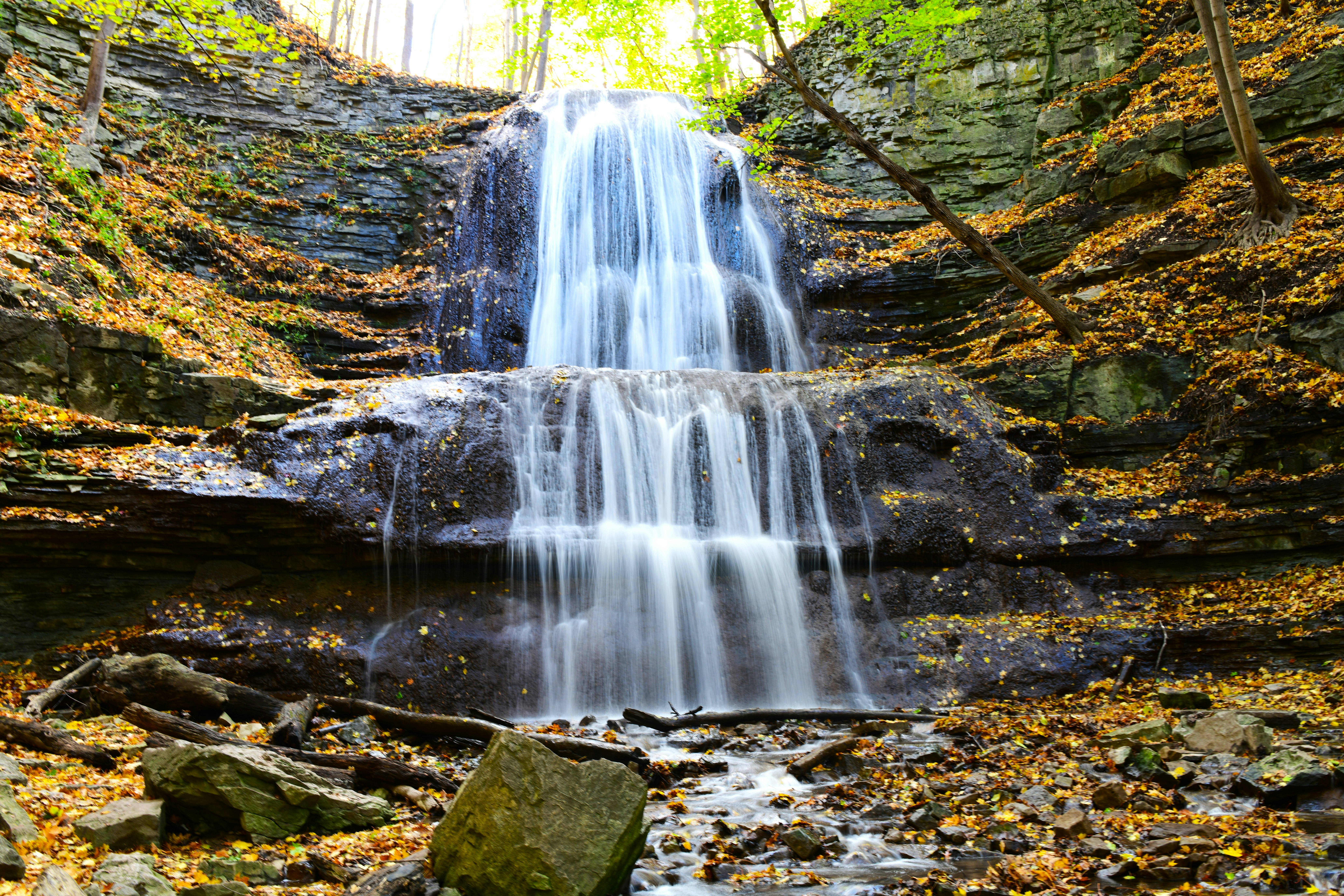 Photo by samuelprevin