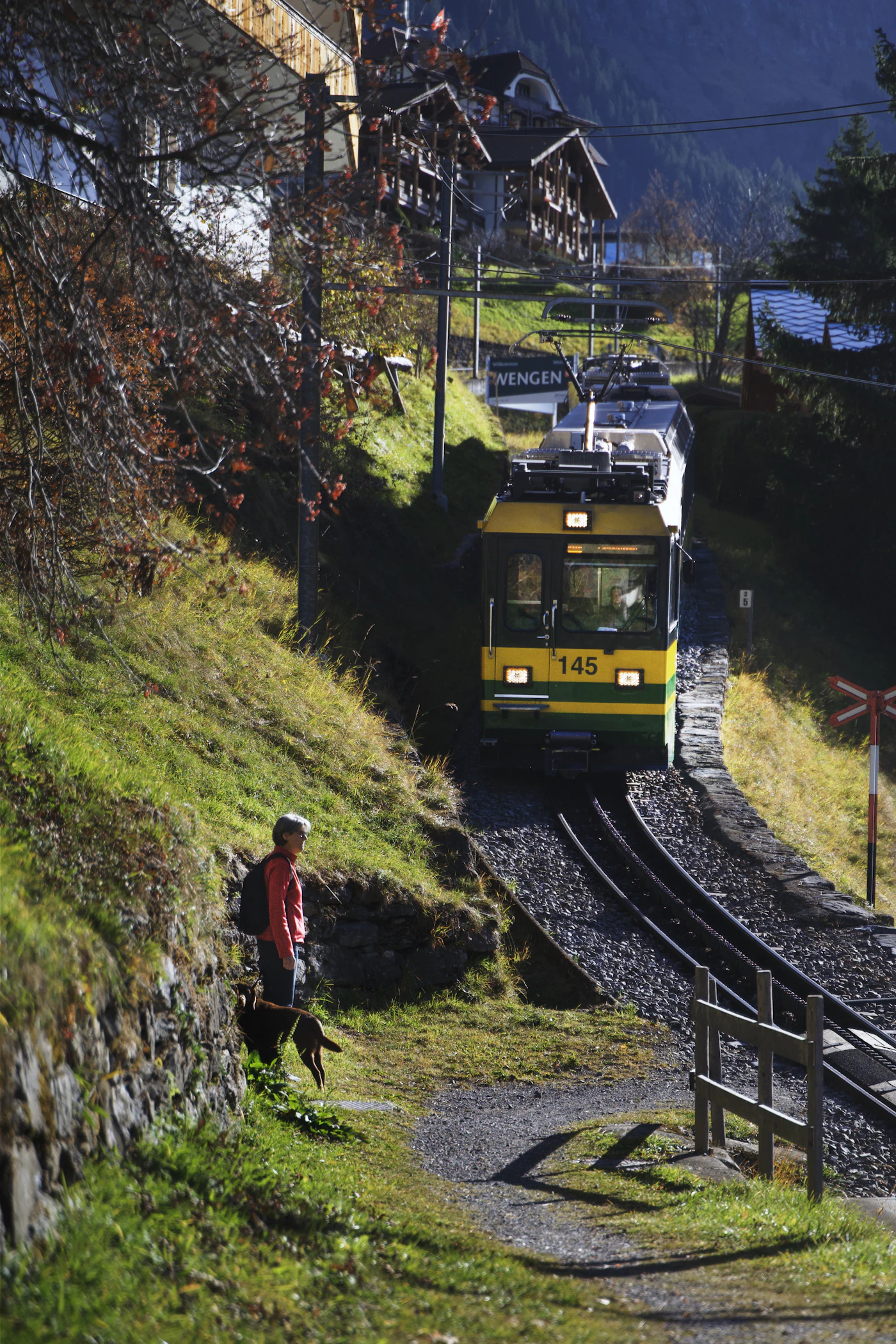 A handler standing on a path with a dog on leash beside them as a passenger train passes on the rail line