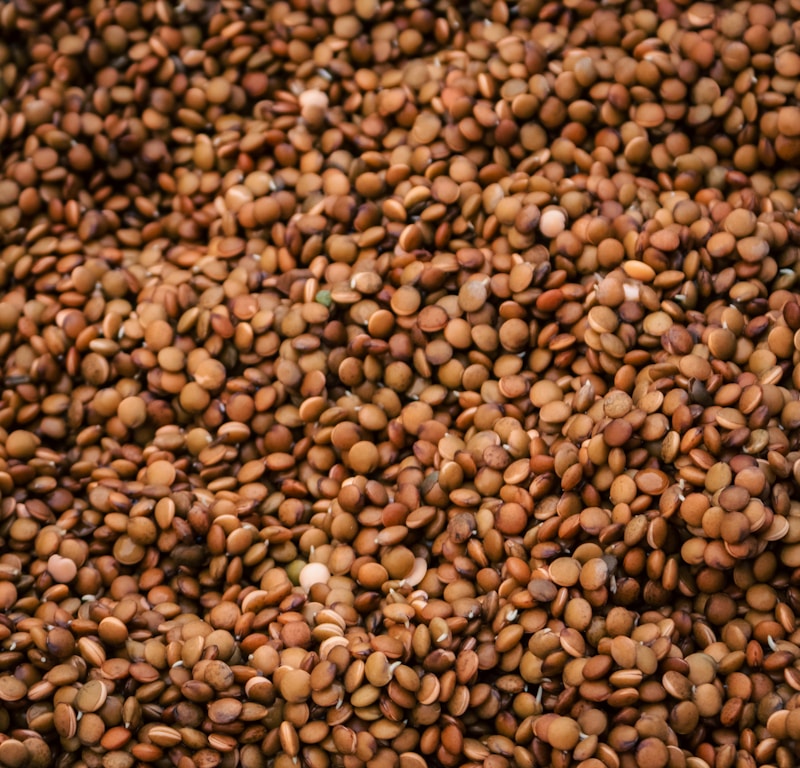 Polished vs Unpolished Dal: Which Should You Choose?