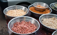 Pulse & Oil Seeds