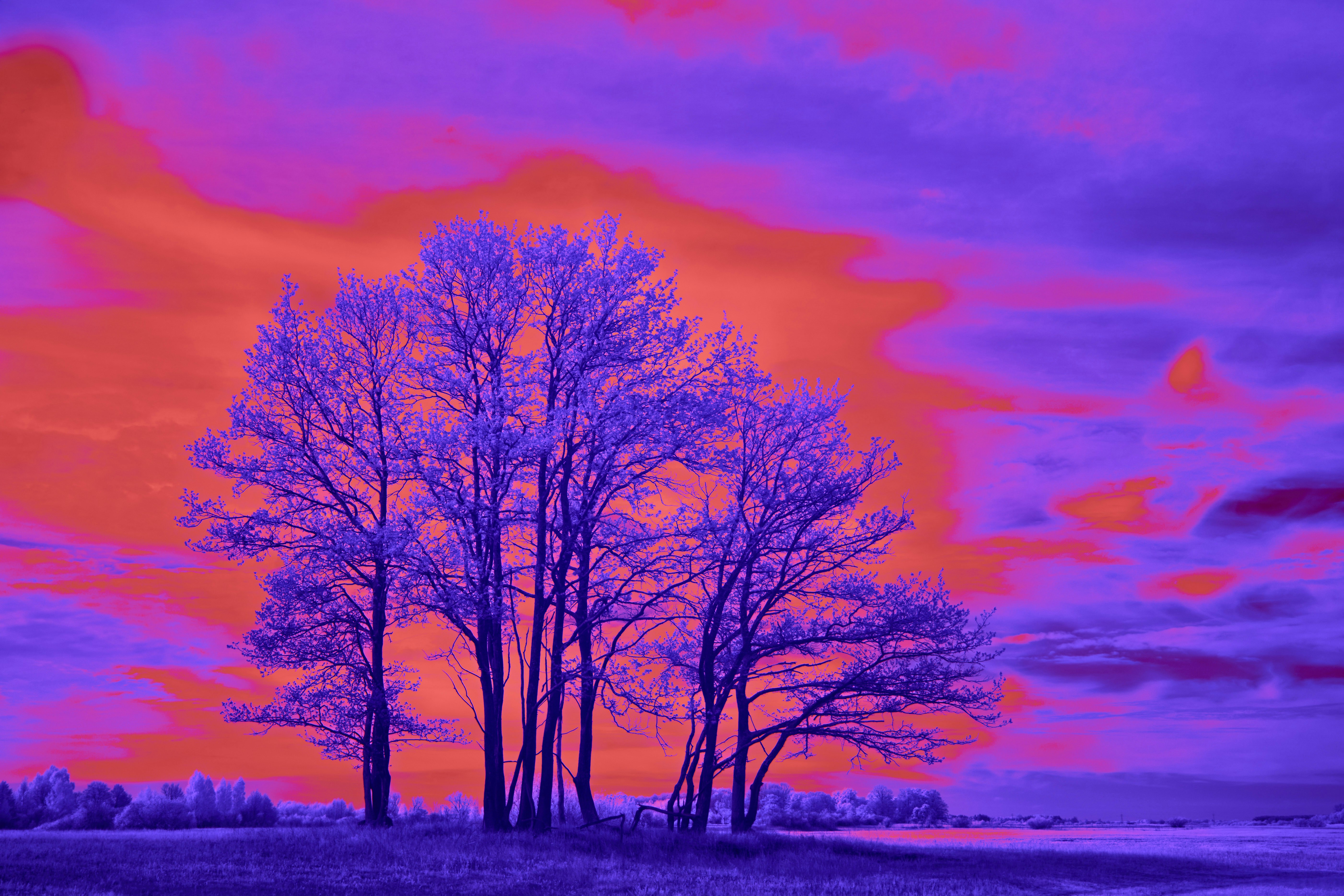 Photo by wolfgang_hasselmann