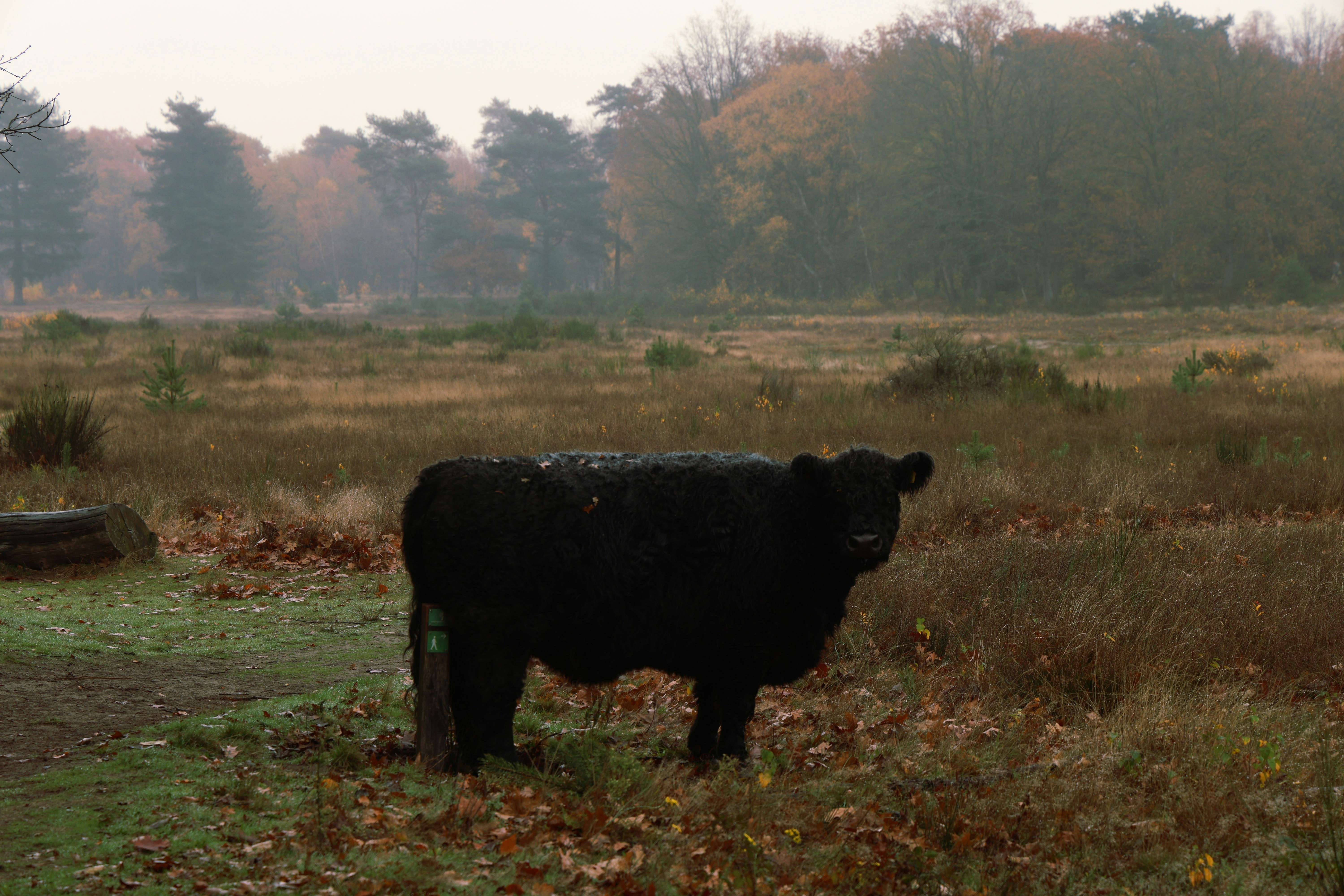 Pleasant Creek Wildlife Management Area