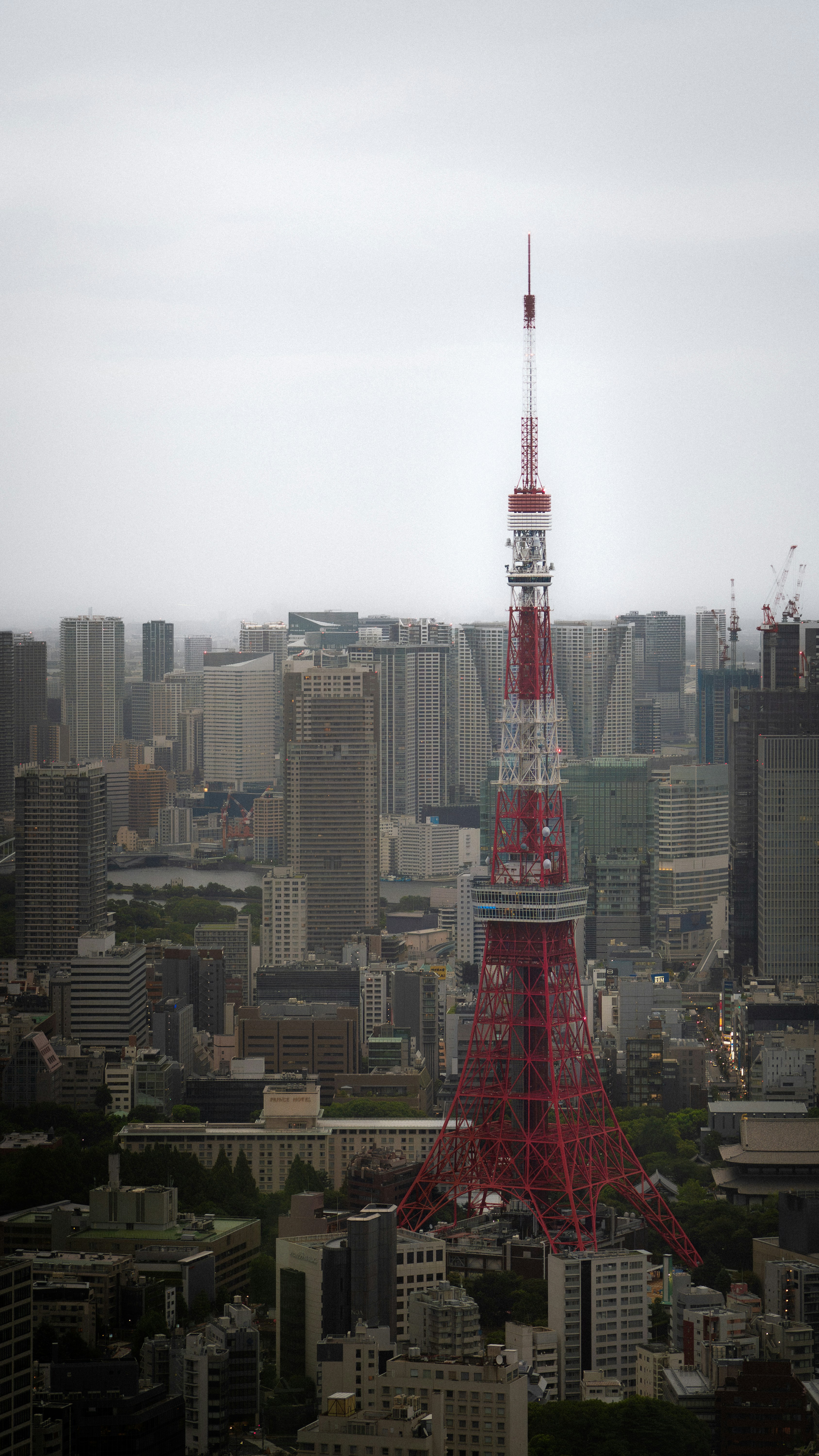 A torre de Tóquio se ergue imponente sobre uma paisagem urbana densa.