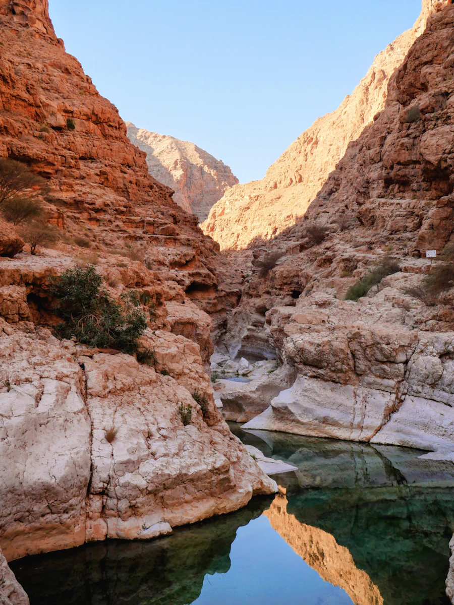 واحات عبري