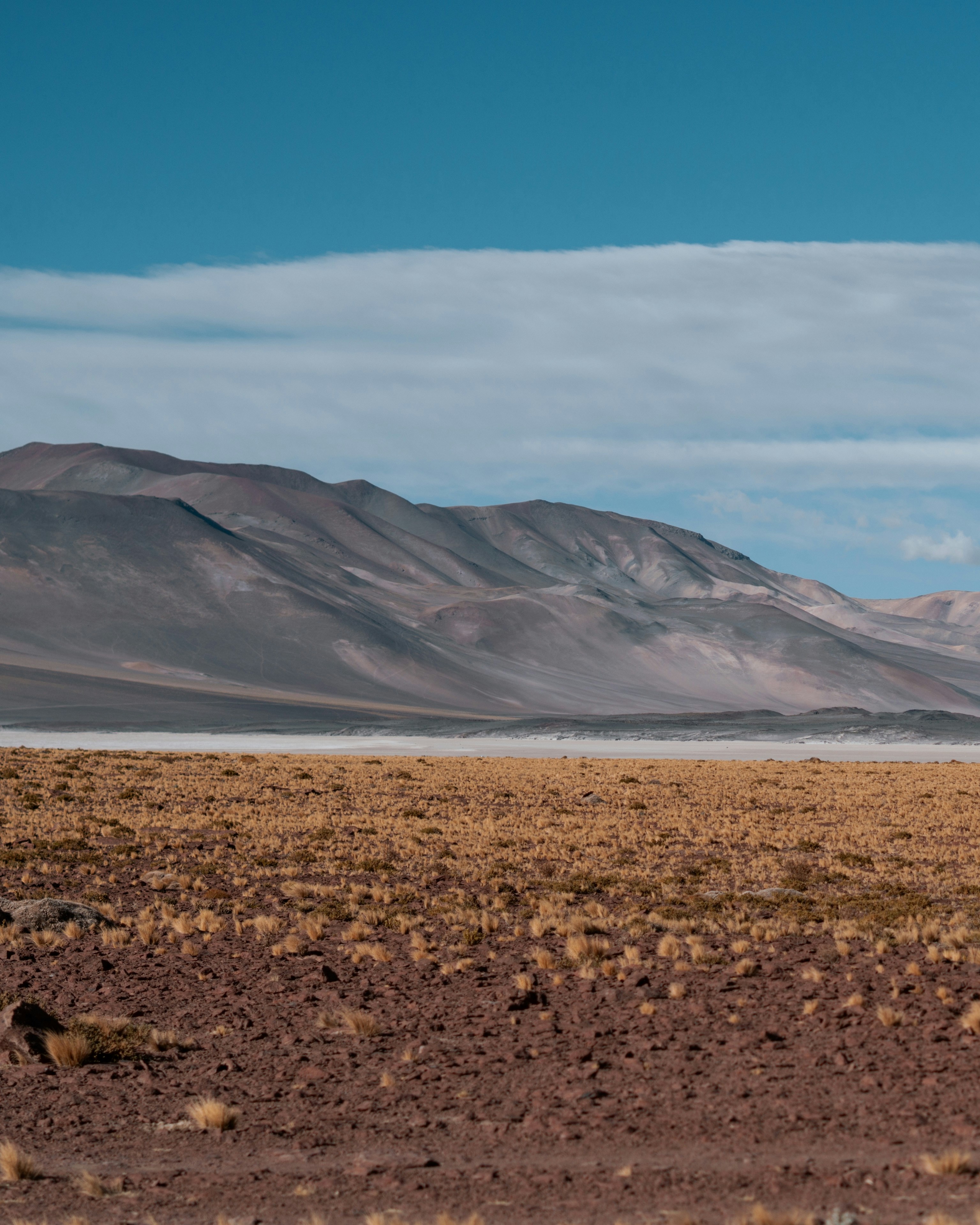 Dry grassland with distant mountains under a blue sky