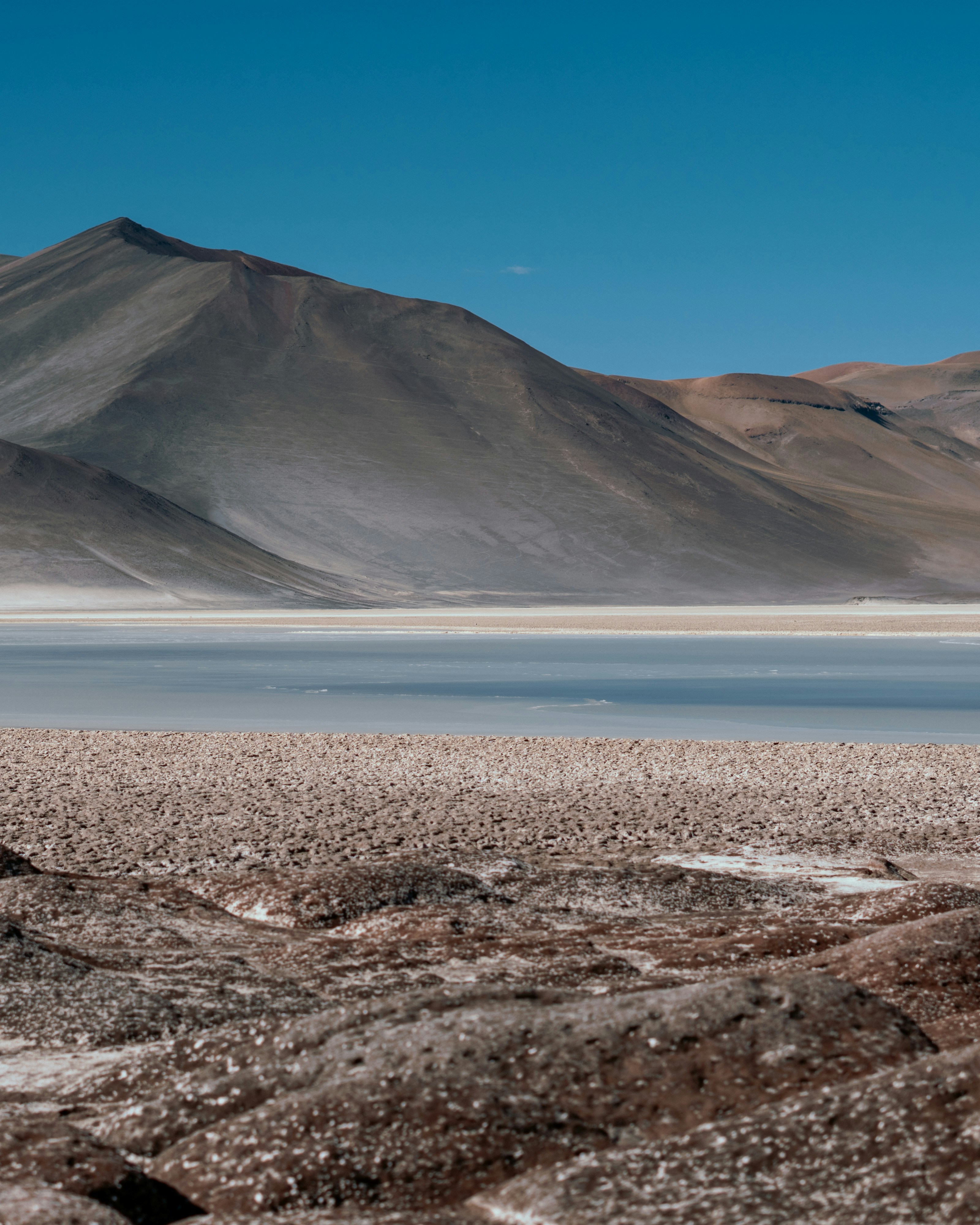 Photo by ytalomarinho