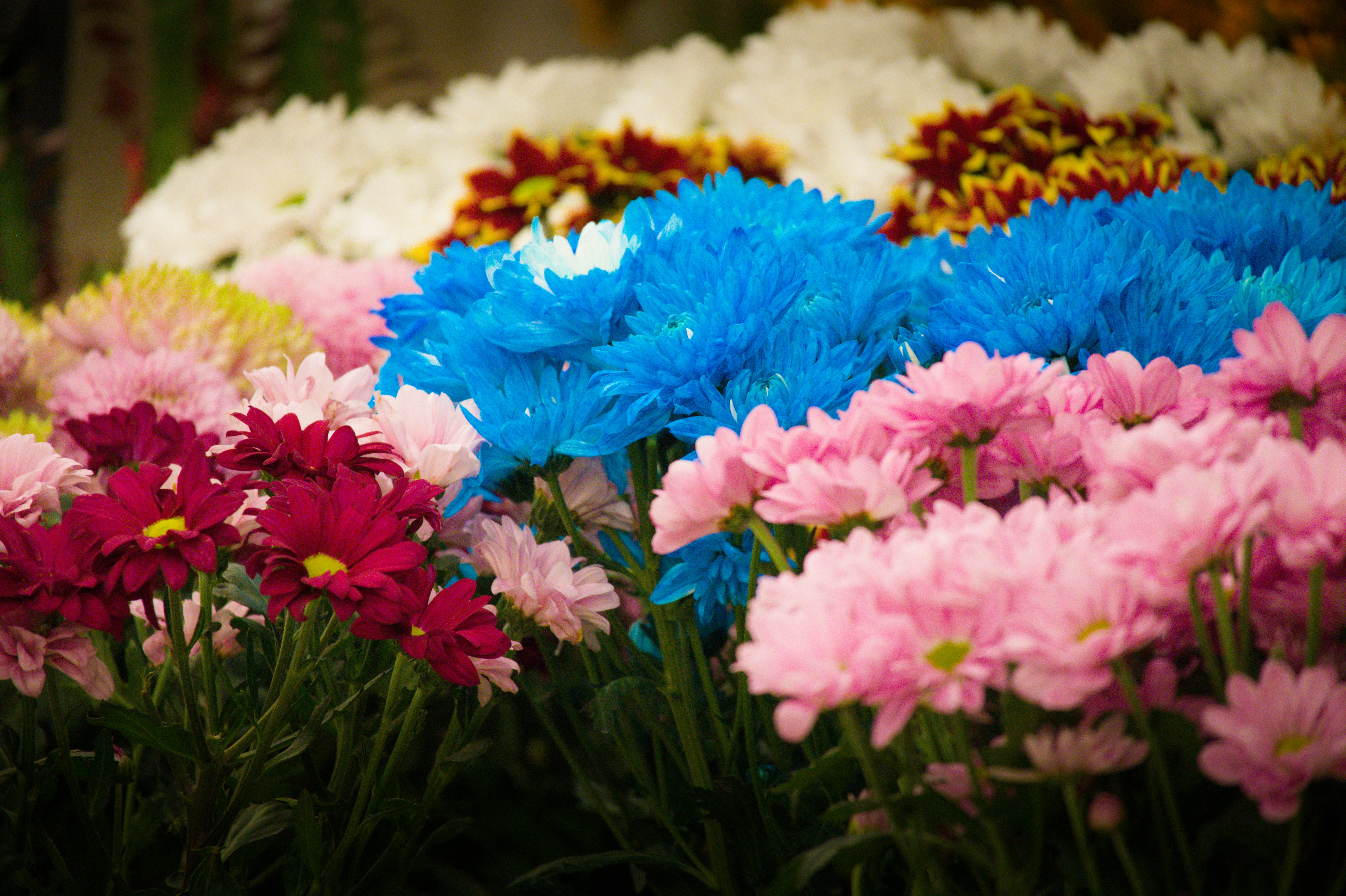 Close up of a vibrant flower bouquet.