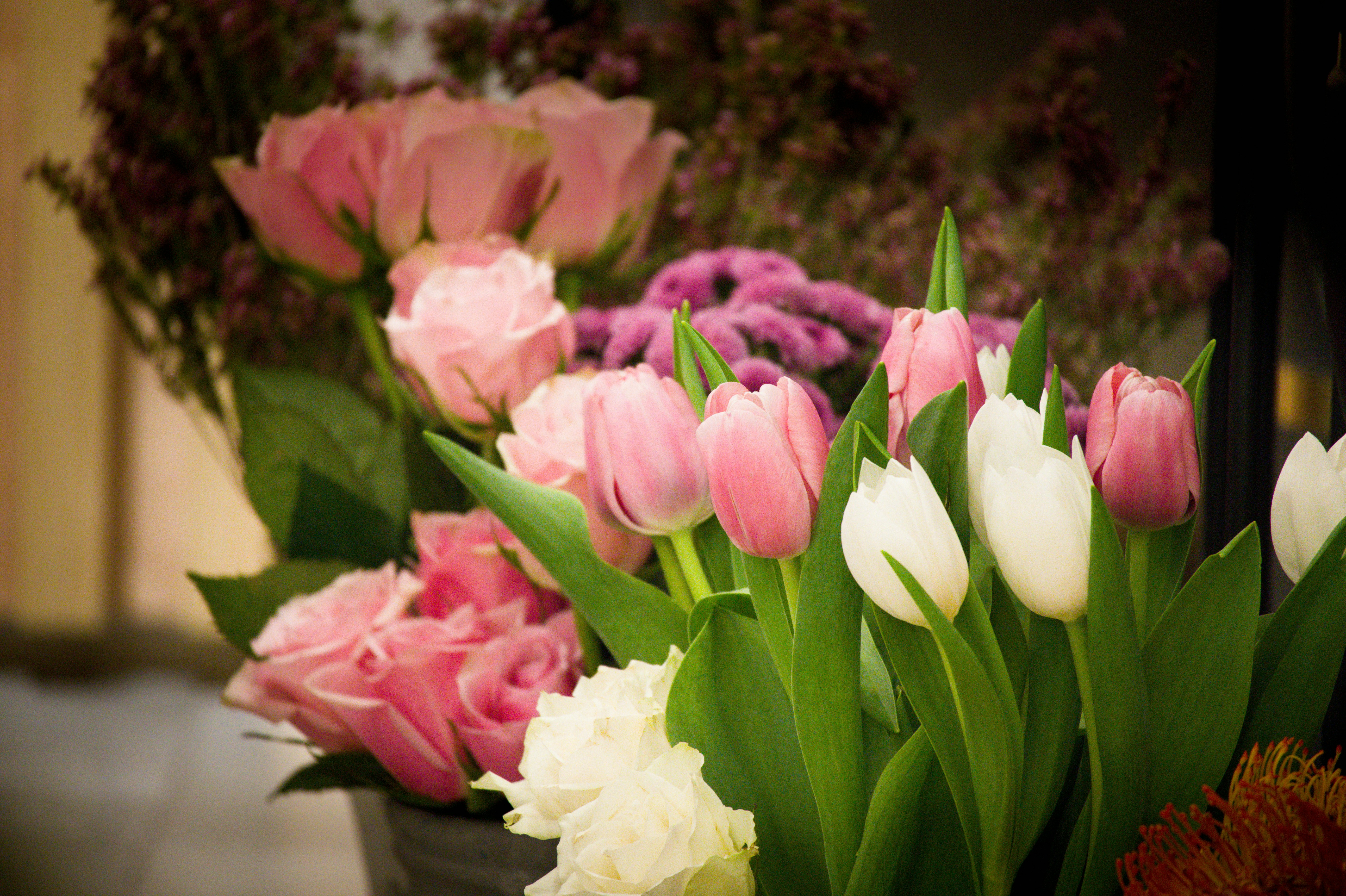 Photo by aminzabardast