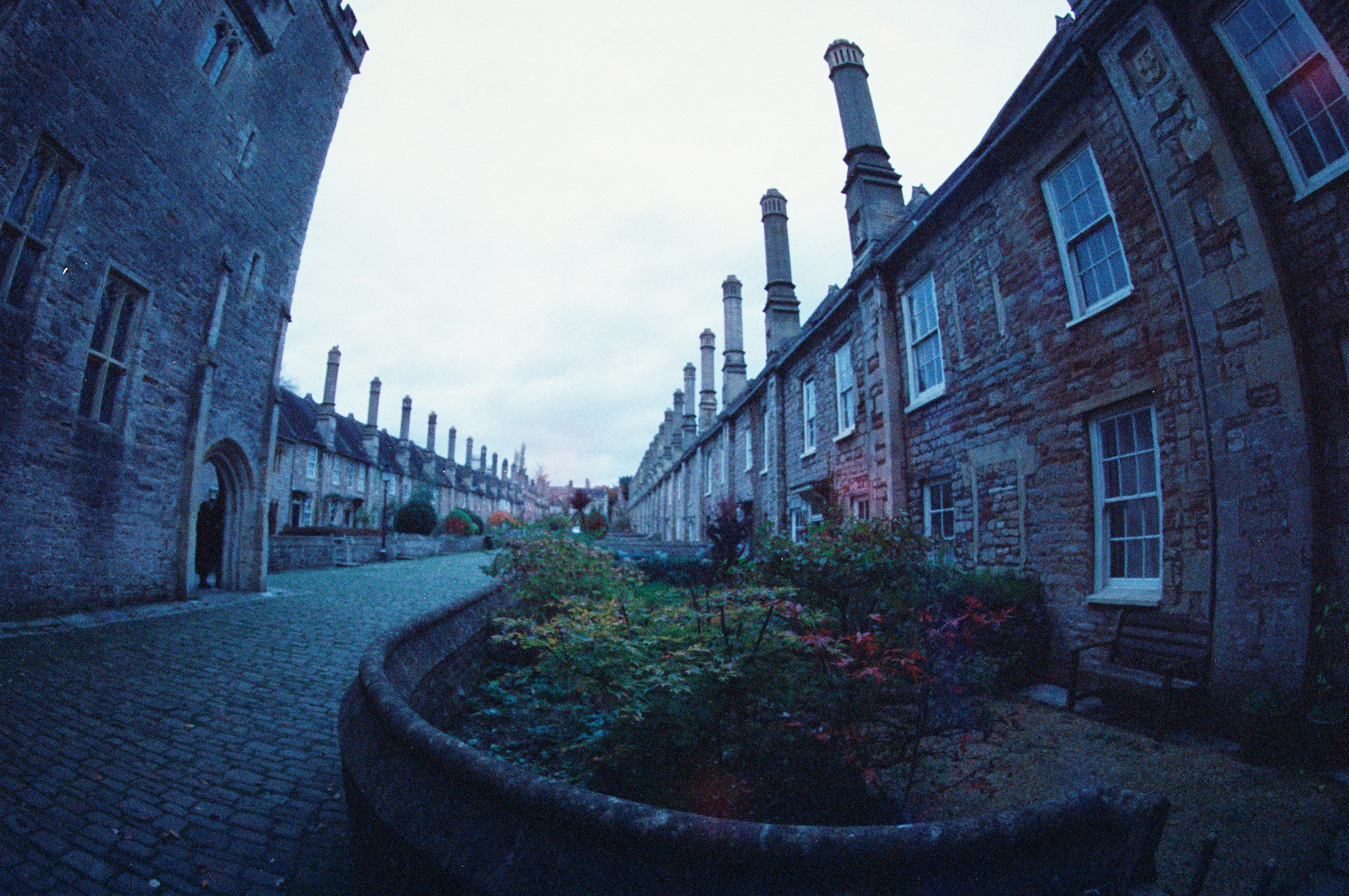 Photo by anniespratt