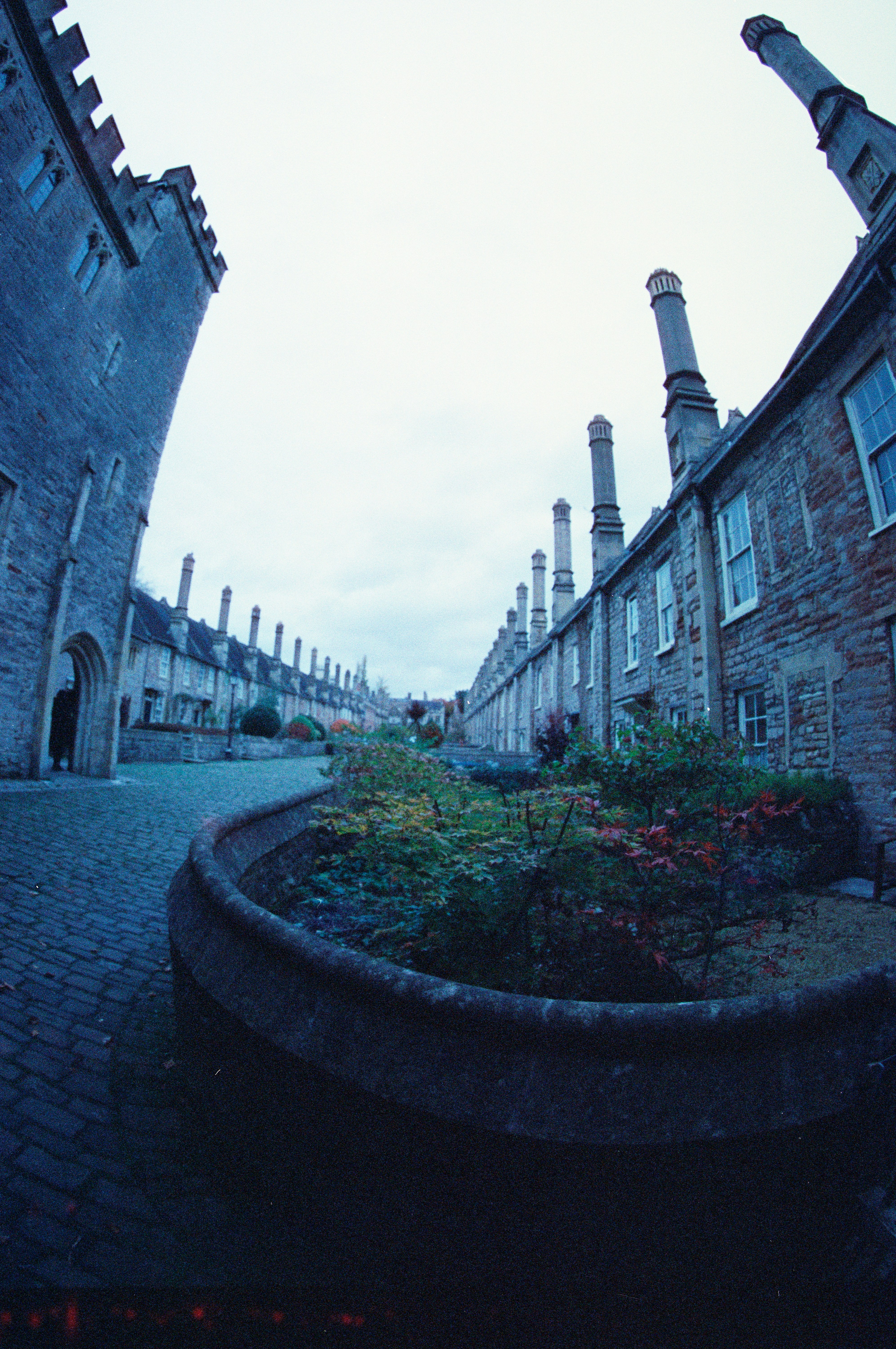 Photo by anniespratt