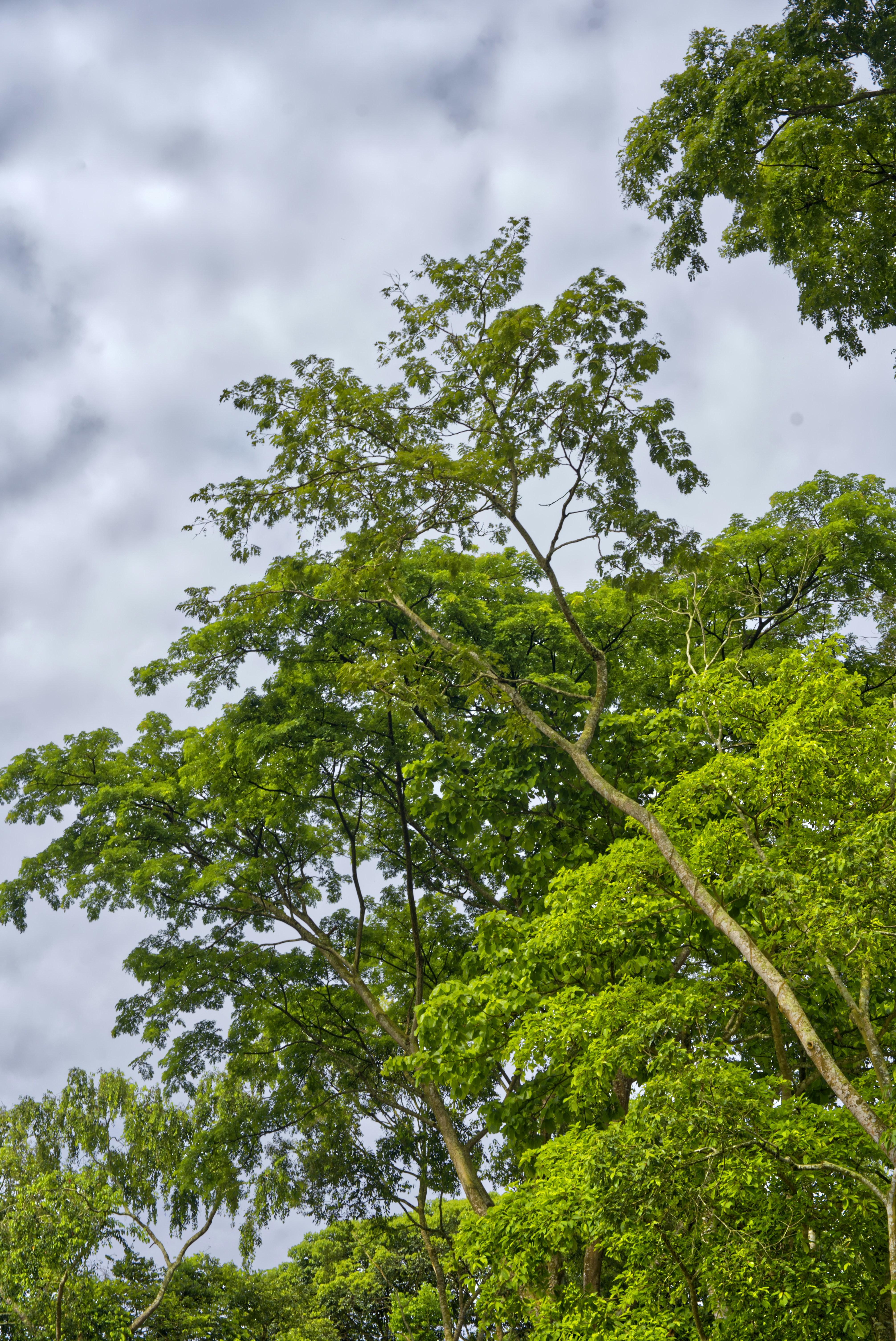 Photo by spenz_official