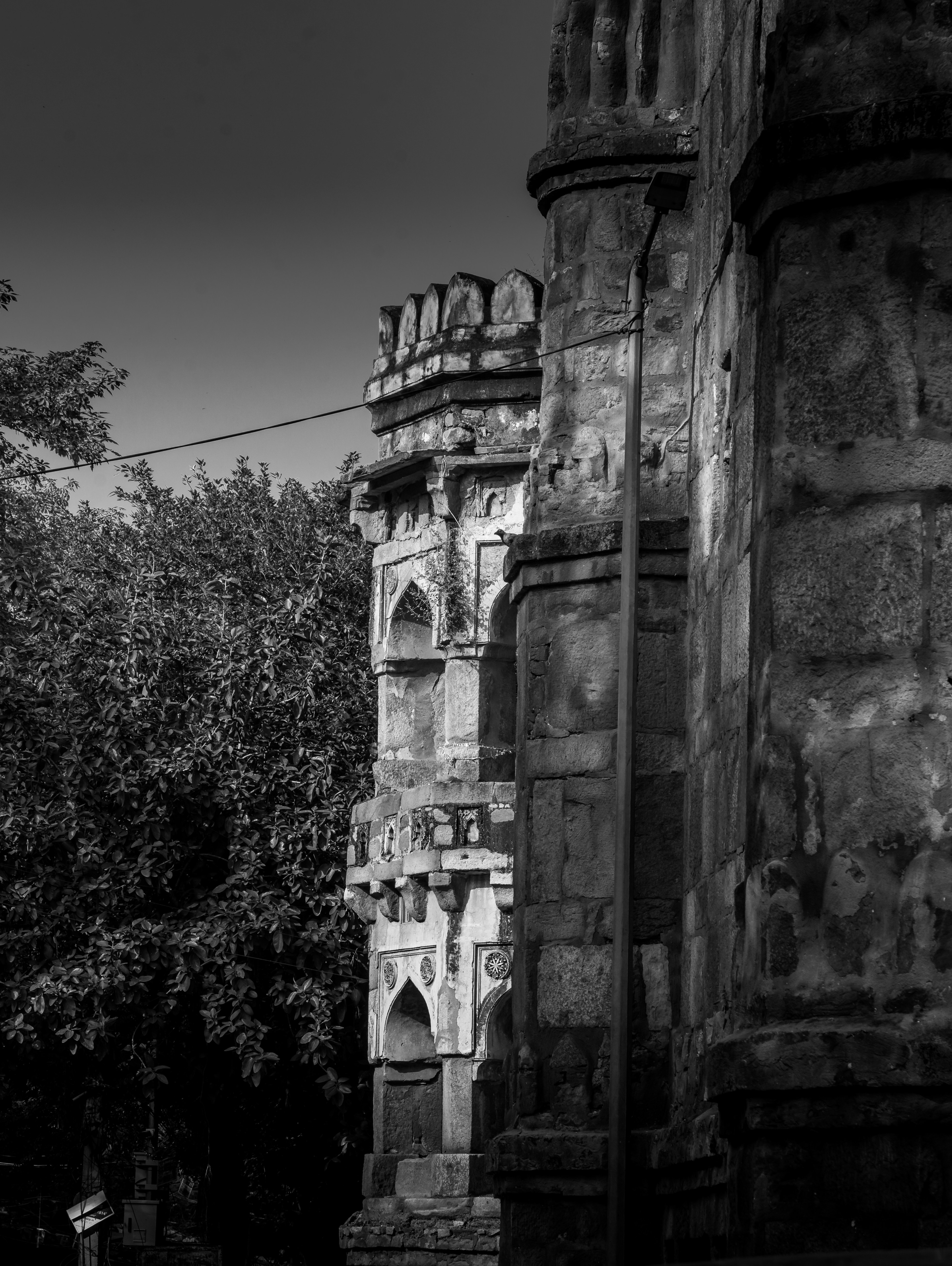 Photo by zoshuacolah