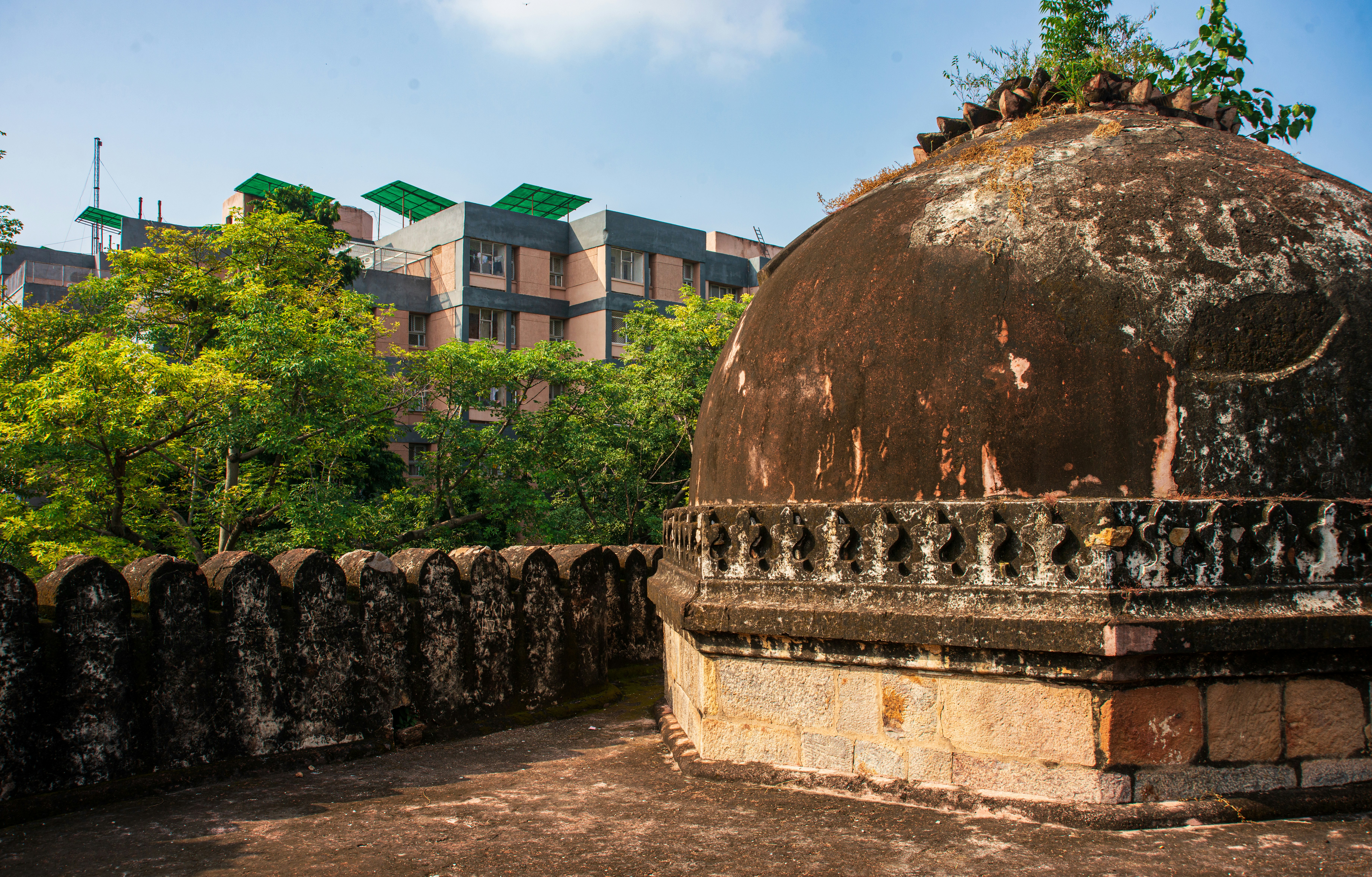 Photo by zoshuacolah