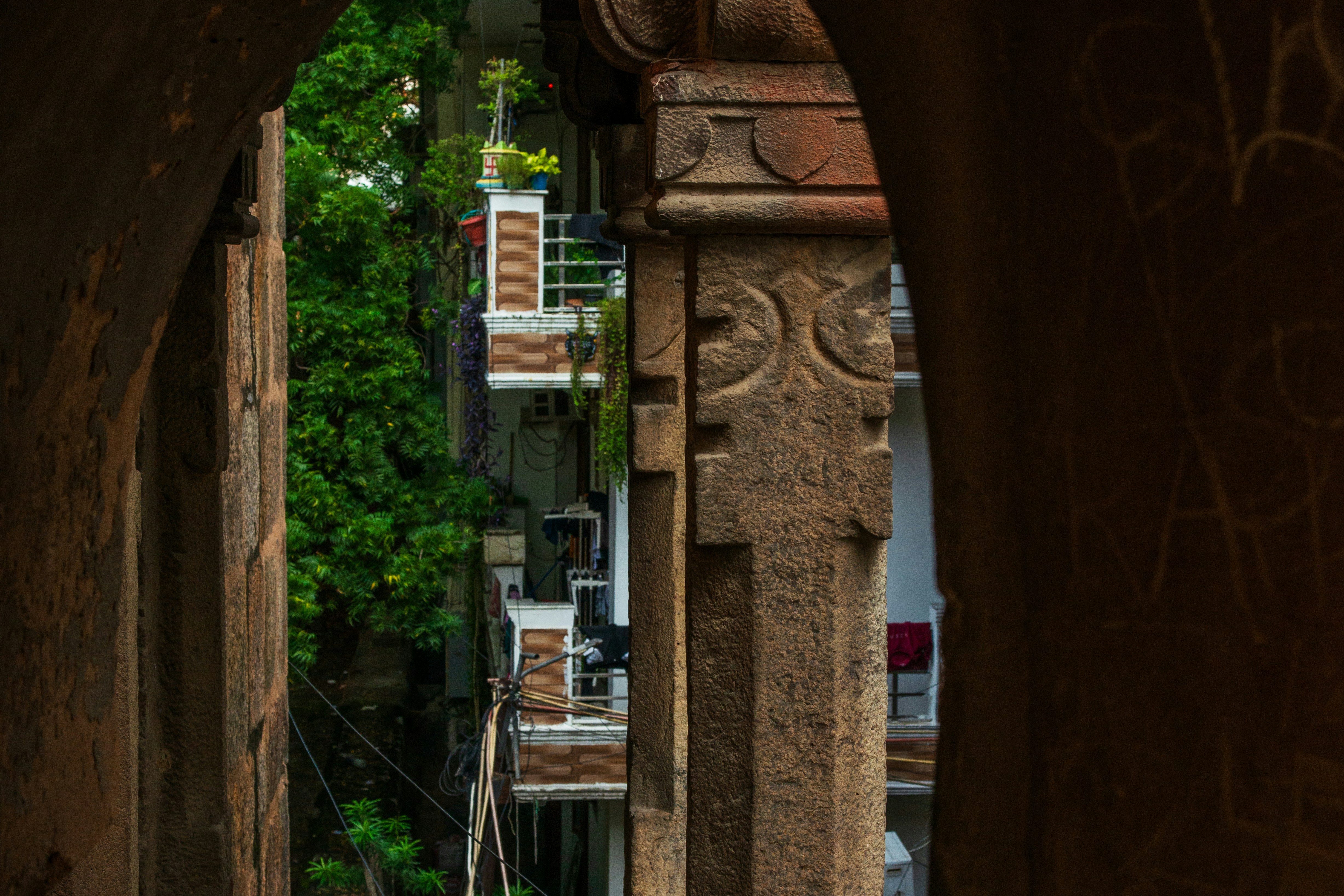 Photo by zoshuacolah