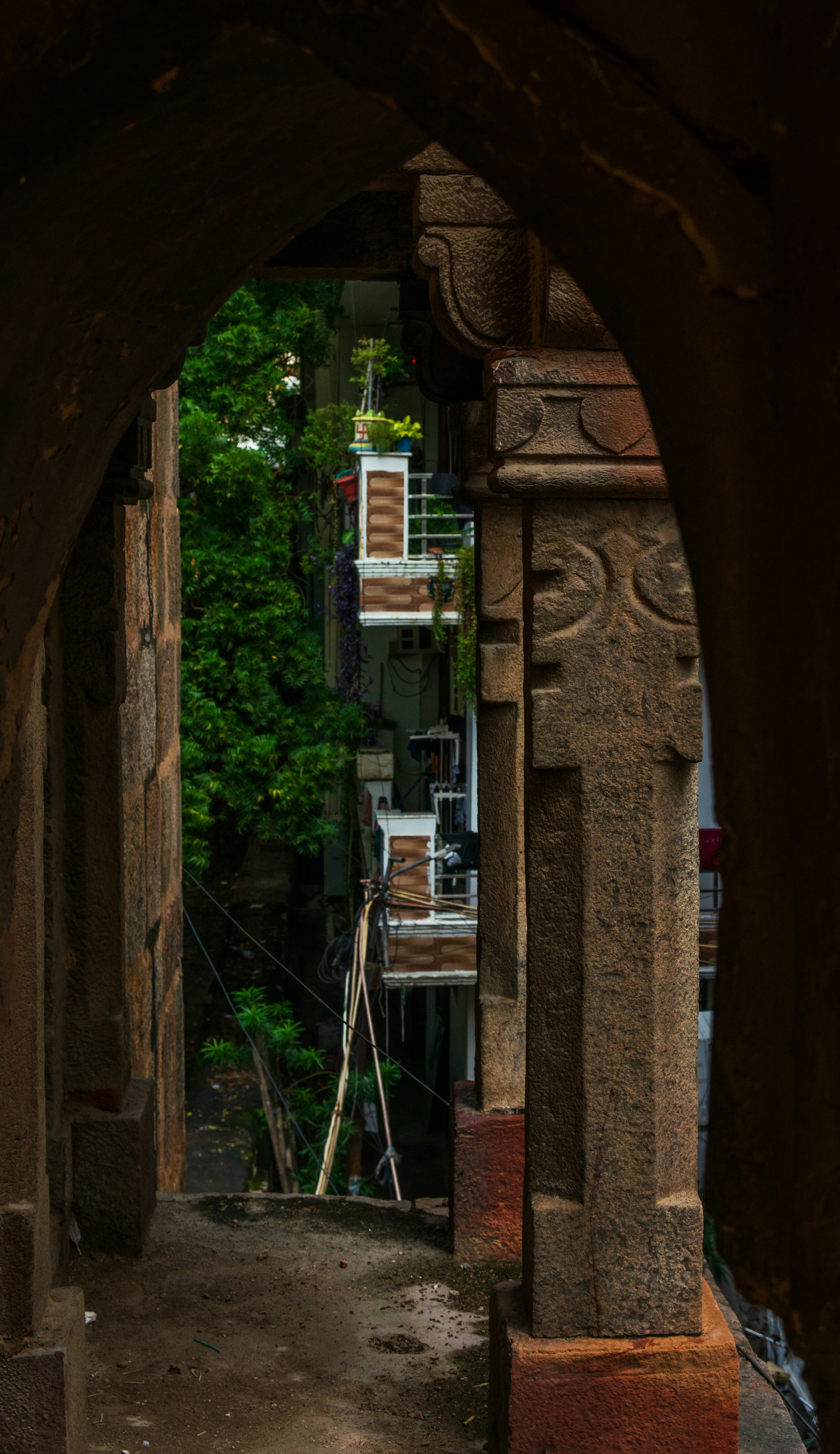 View through an arched doorway of buildings and trees.