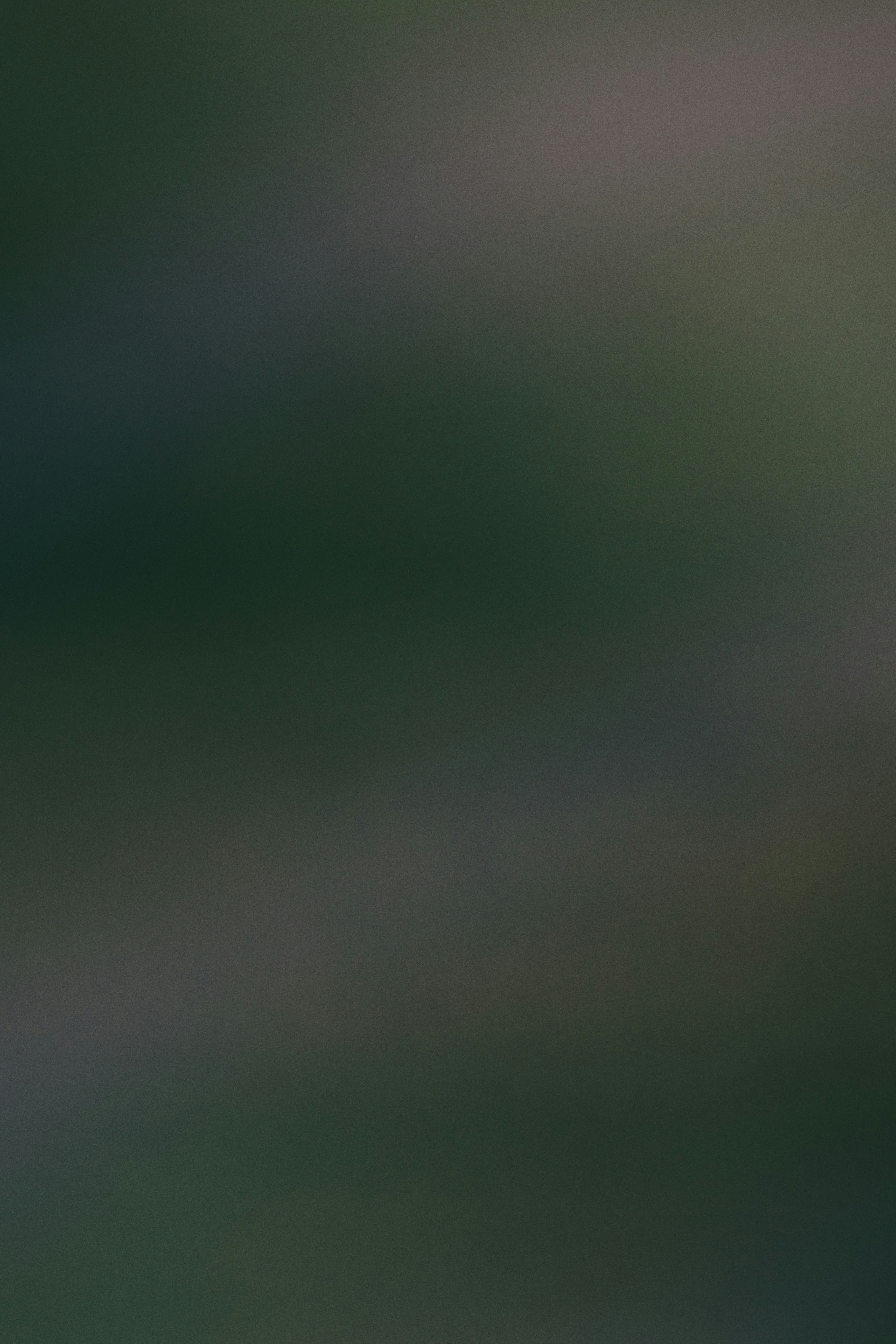 Photo by philipphubert