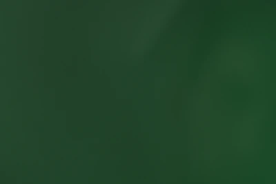 Dark green background with subtle gradient