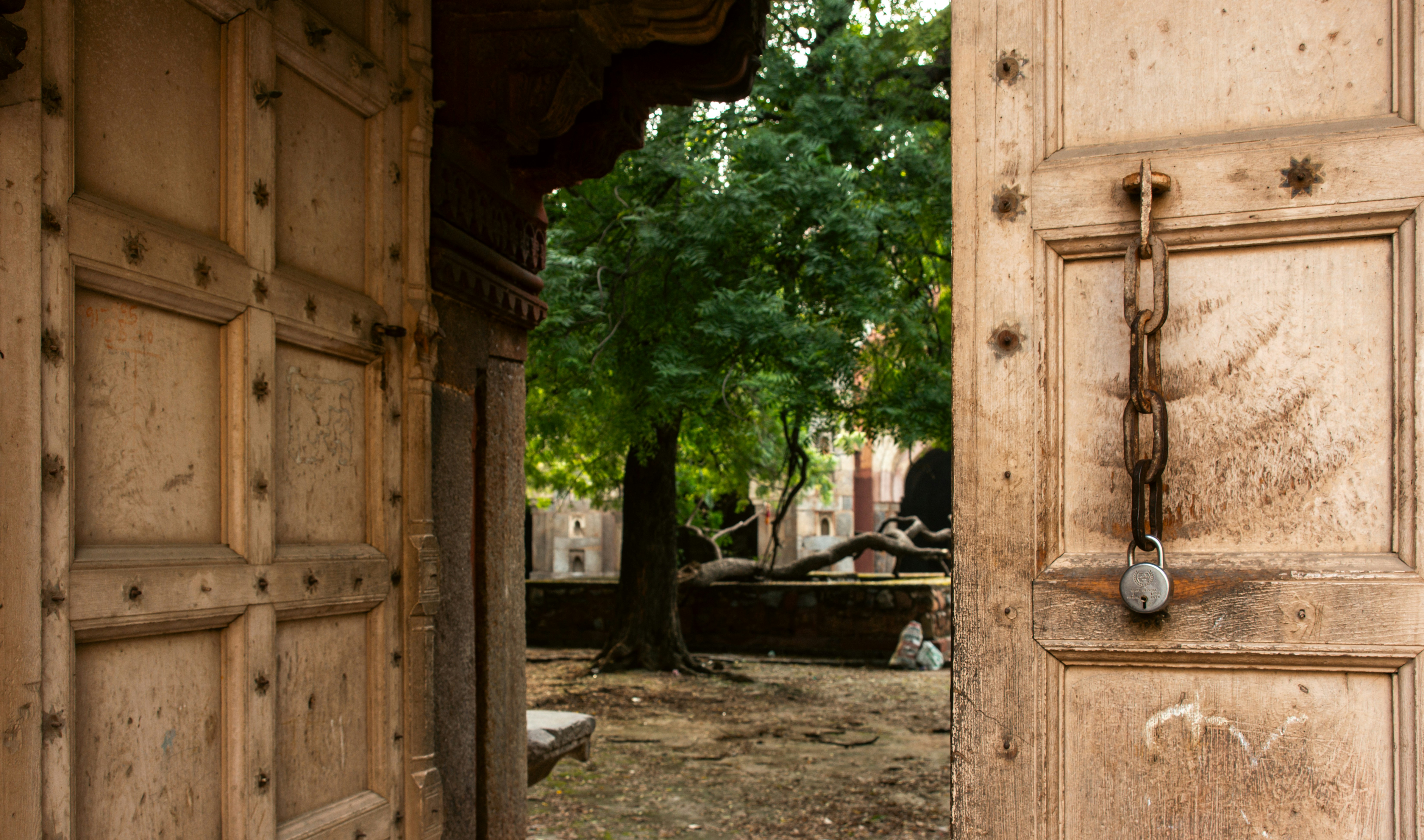 Photo by zoshuacolah