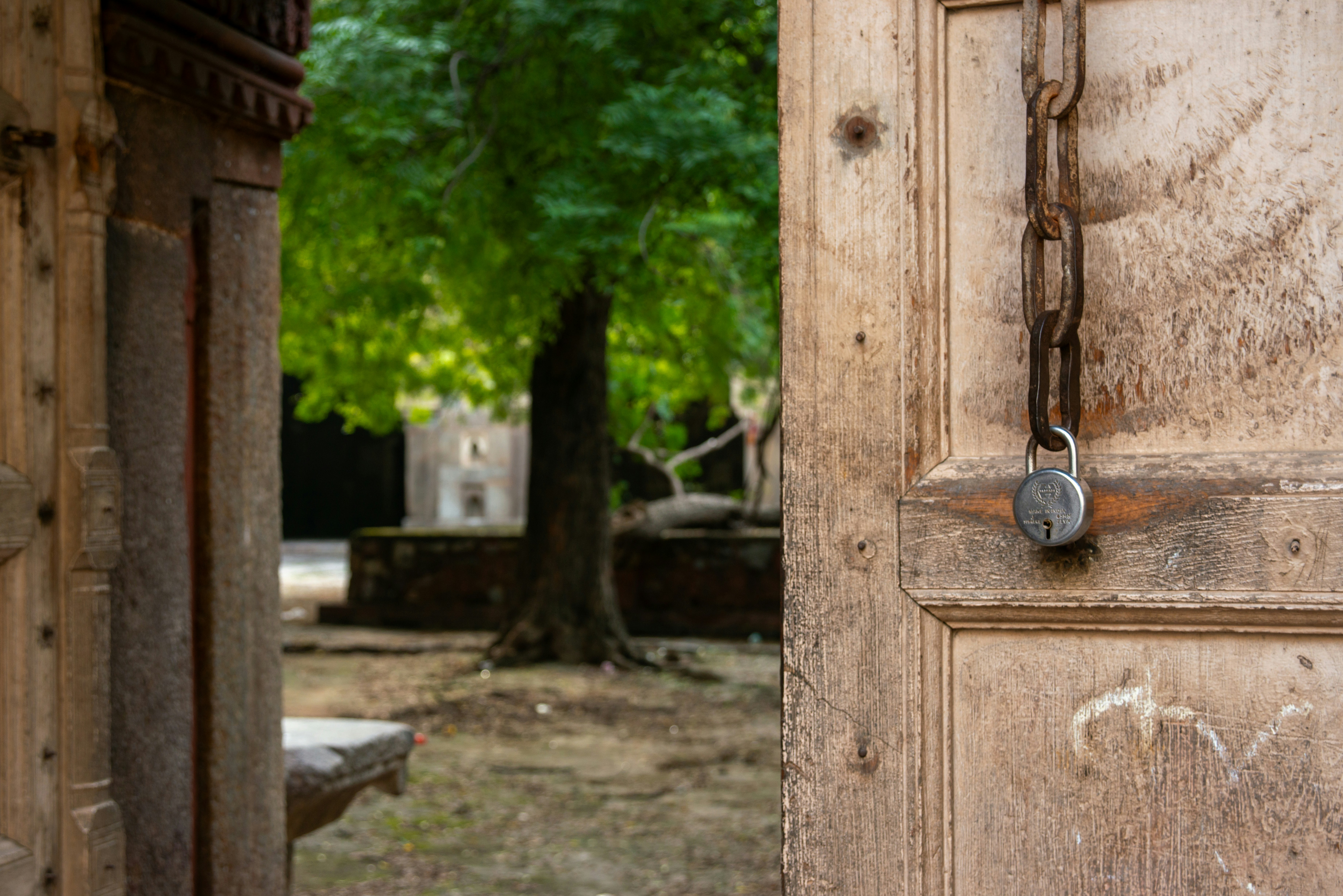 Photo by zoshuacolah