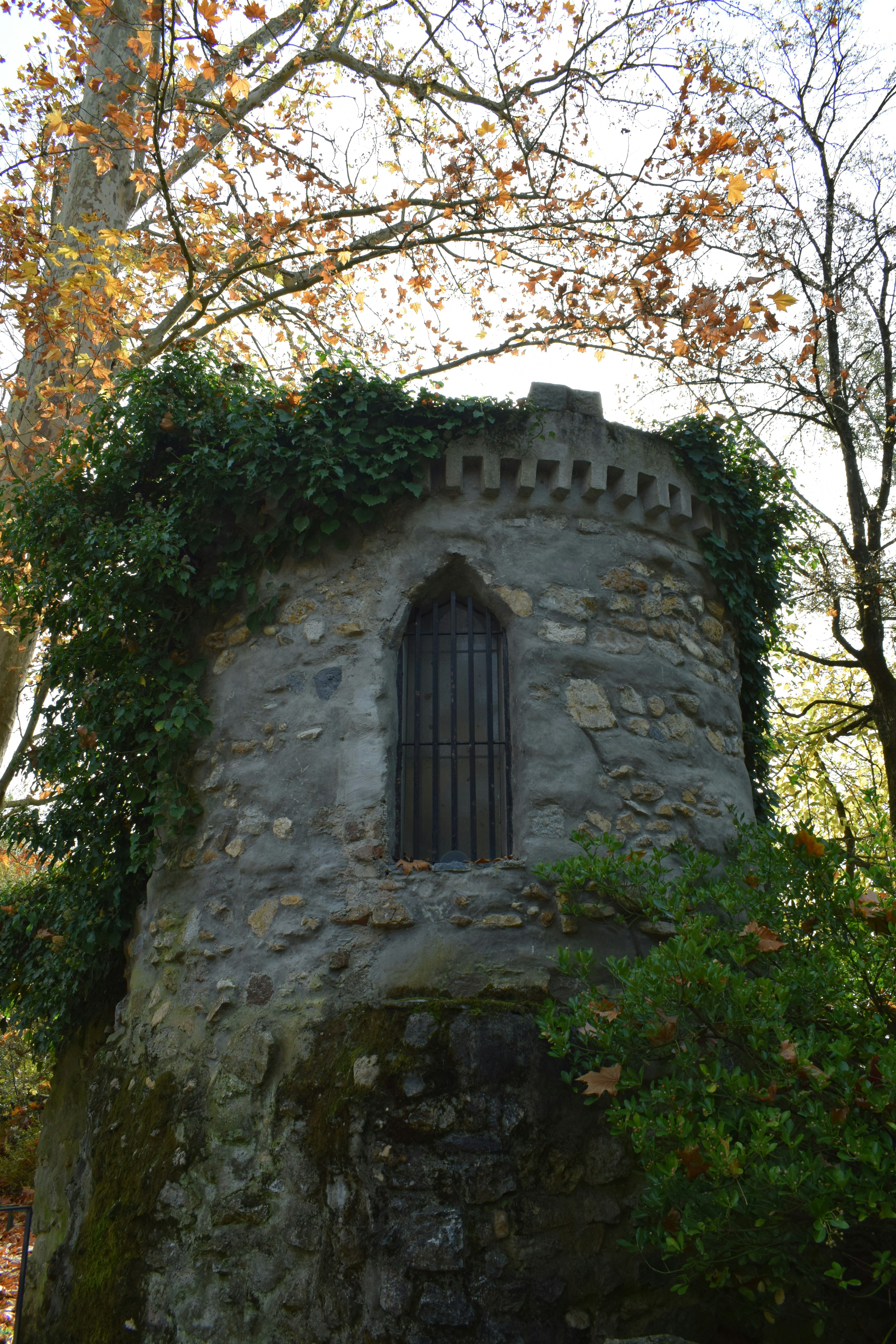 Photo by kristina001